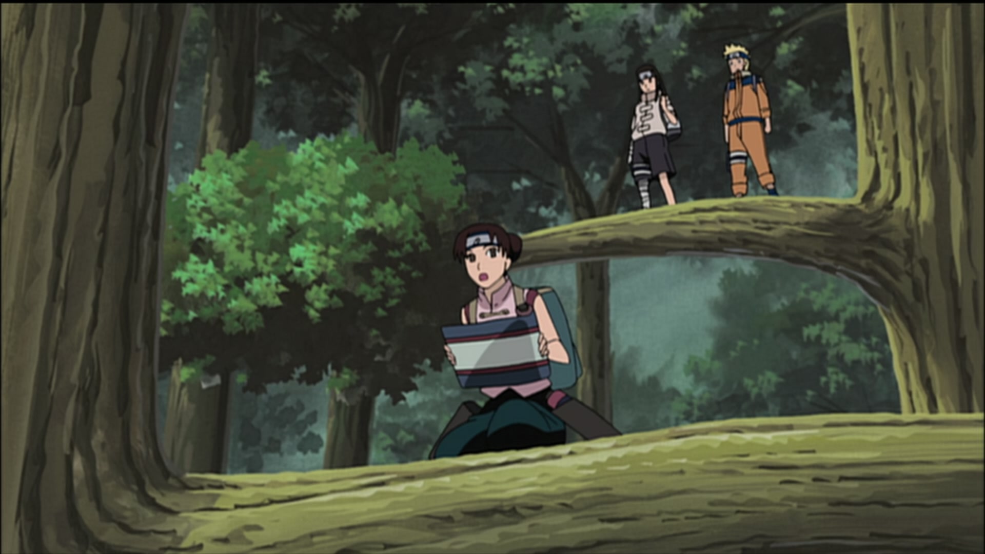 Naruto: Shippuden Ep 184: Deploy! Team Tenten @ 00:04:24