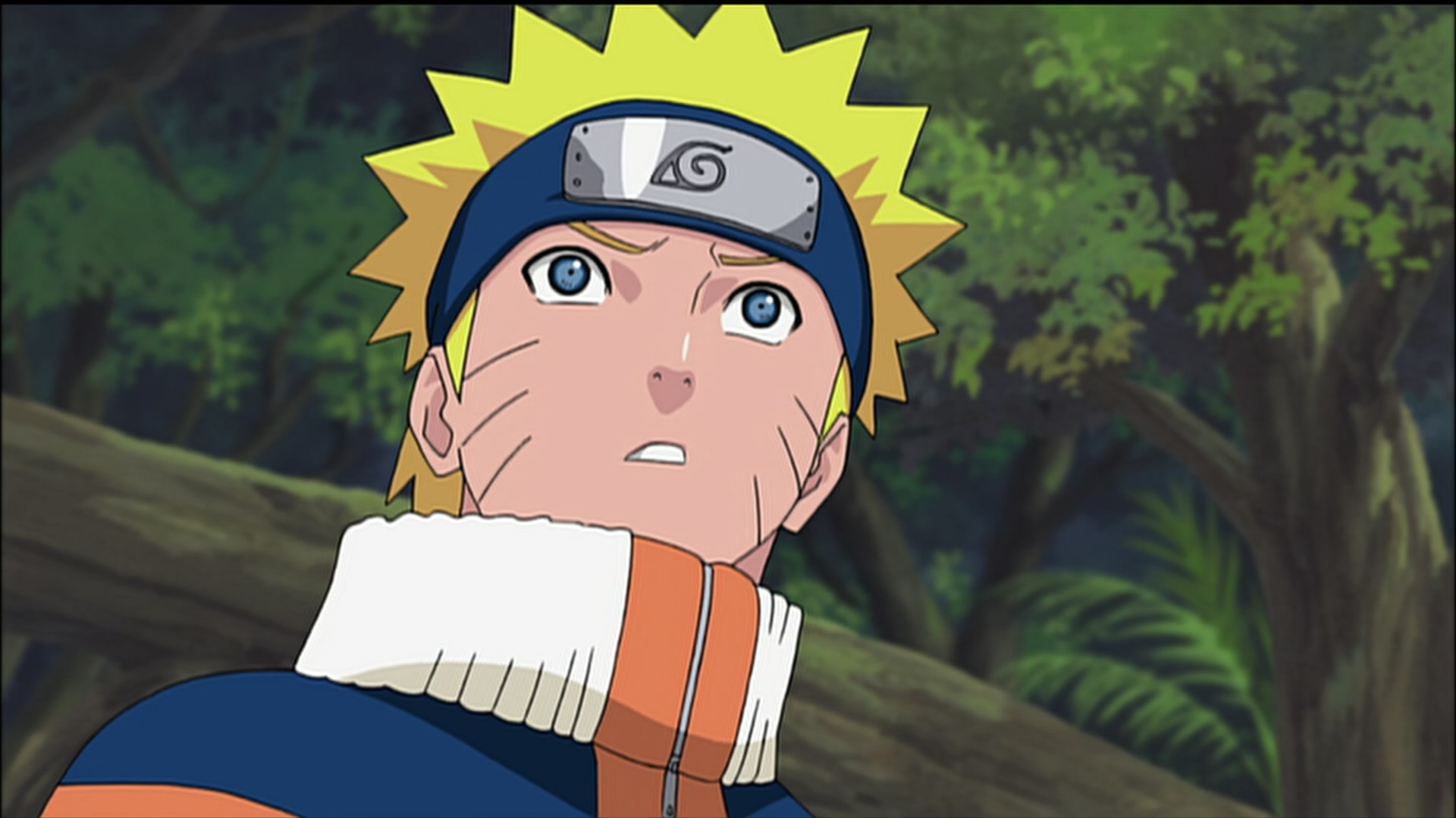 Naruto: Shippuden Ep 185: Animal District @ 00:07:52