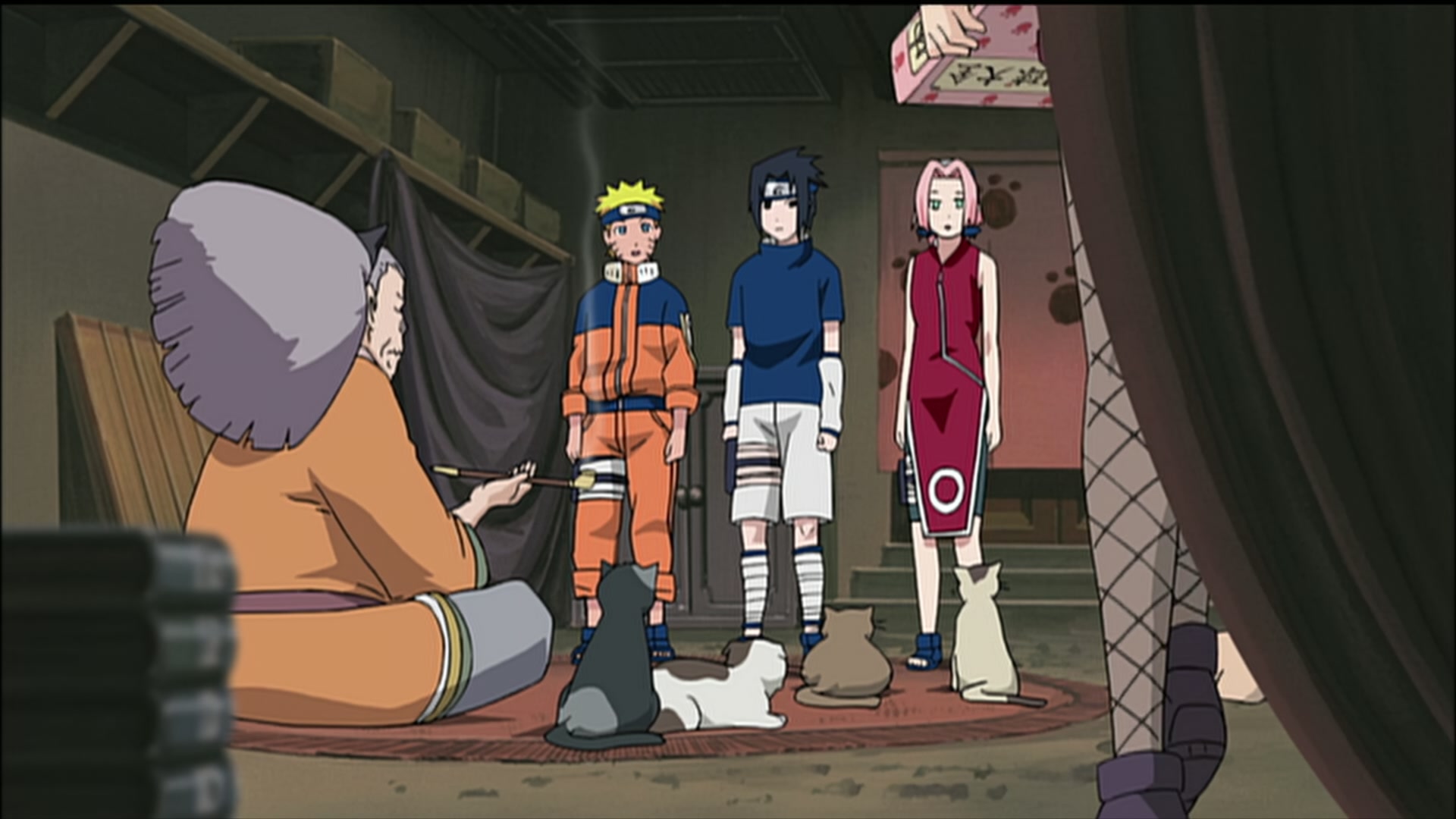 Naruto: Shippuden Ep 189: Sasuke's Paw Encyclopedia @ 00:04:05