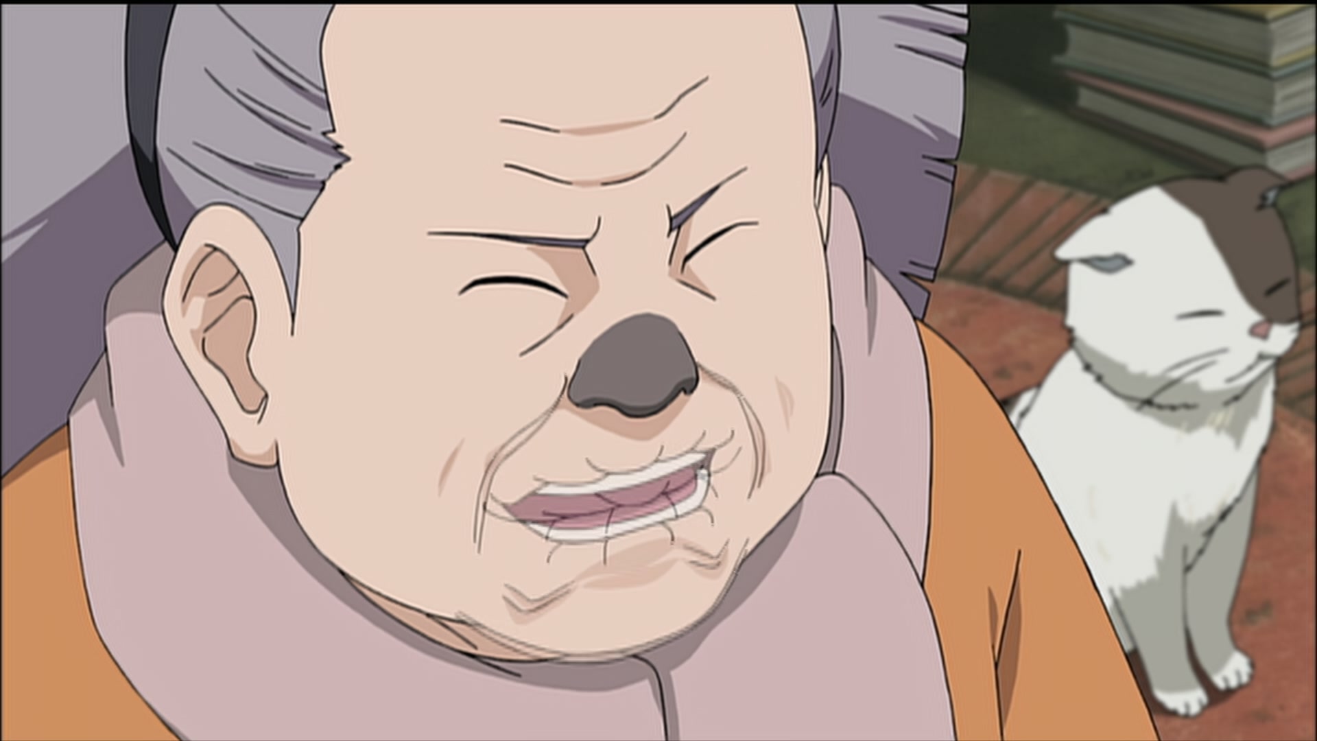 Naruto: Shippuden Ep 189: Sasuke's Paw Encyclopedia @ 00:04:48