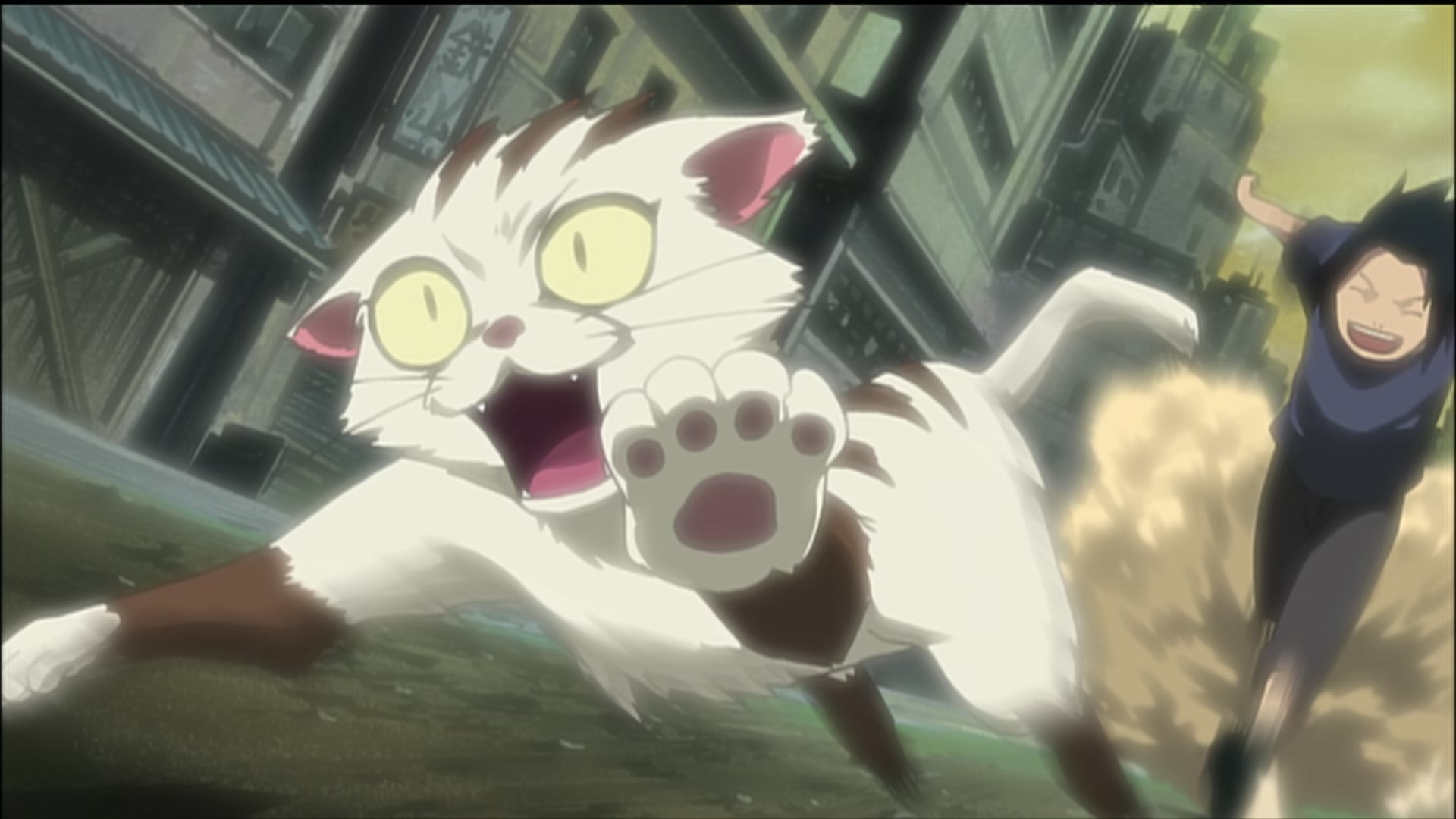Naruto: Shippuden Ep 189: Sasuke's Paw Encyclopedia @ 00:05:02