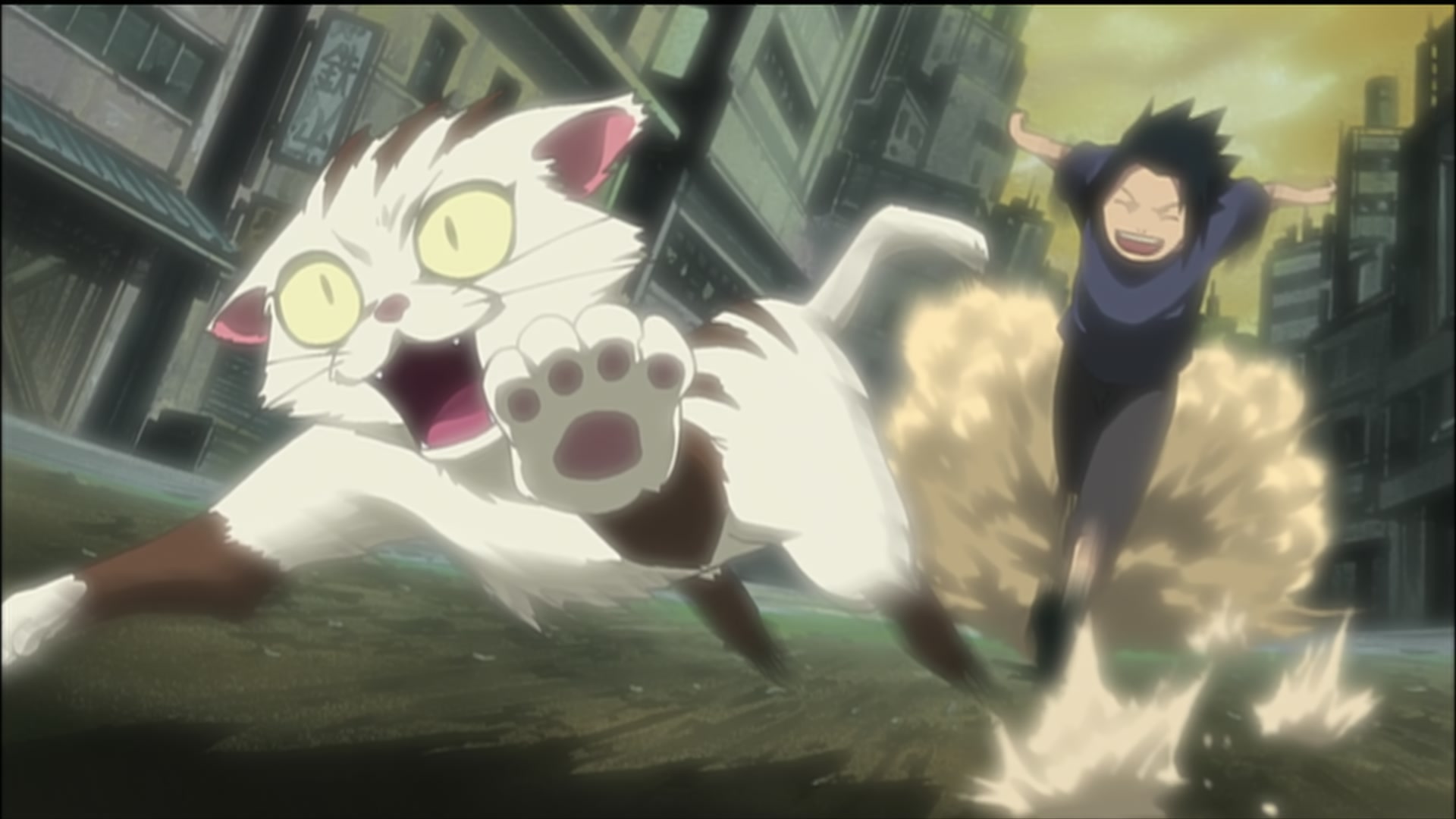 Naruto: Shippuden Ep 189: Sasuke's Paw Encyclopedia @ 00:05:07