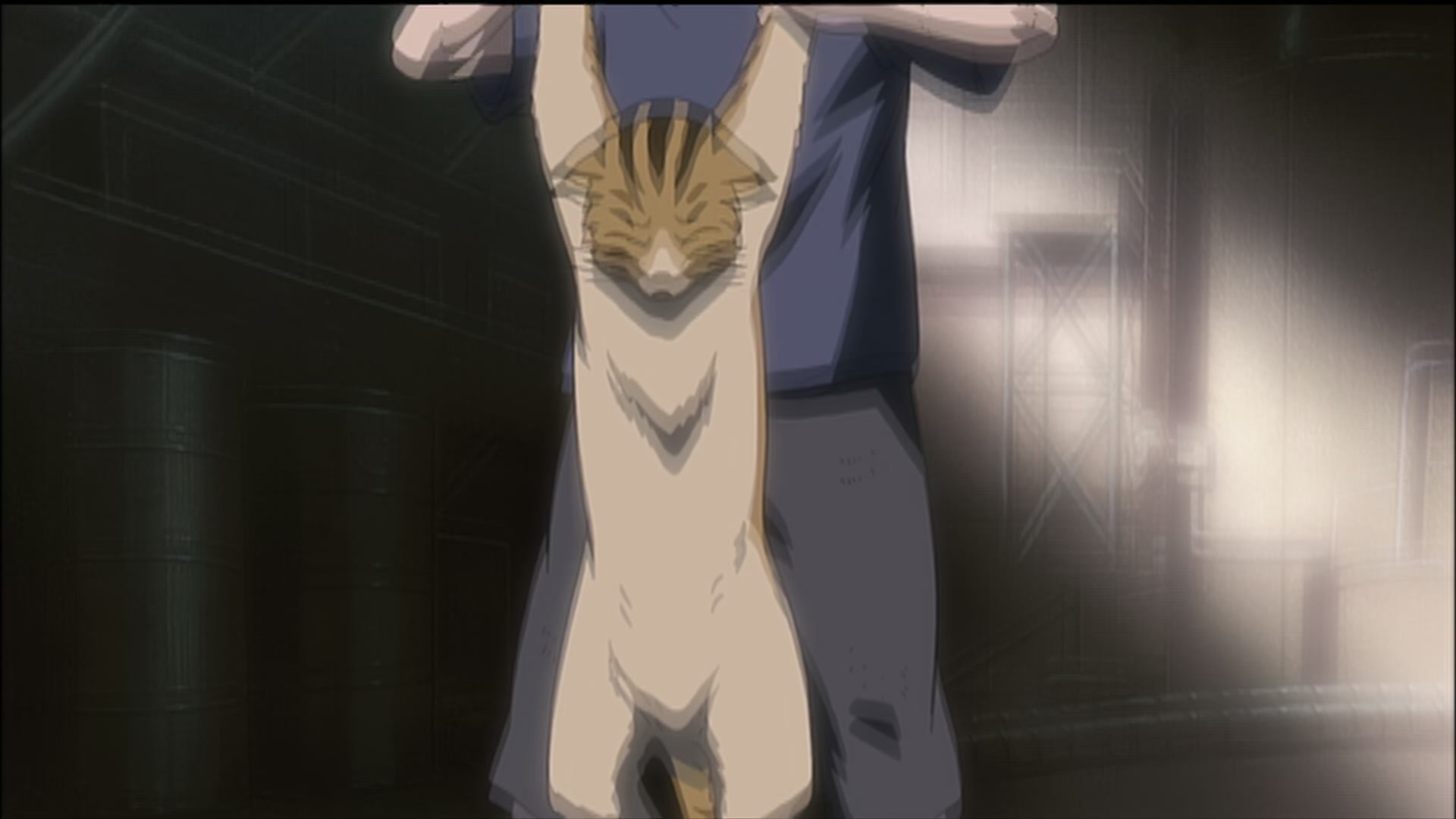 Naruto: Shippuden Ep 189: Sasuke's Paw Encyclopedia @ 00:05:26