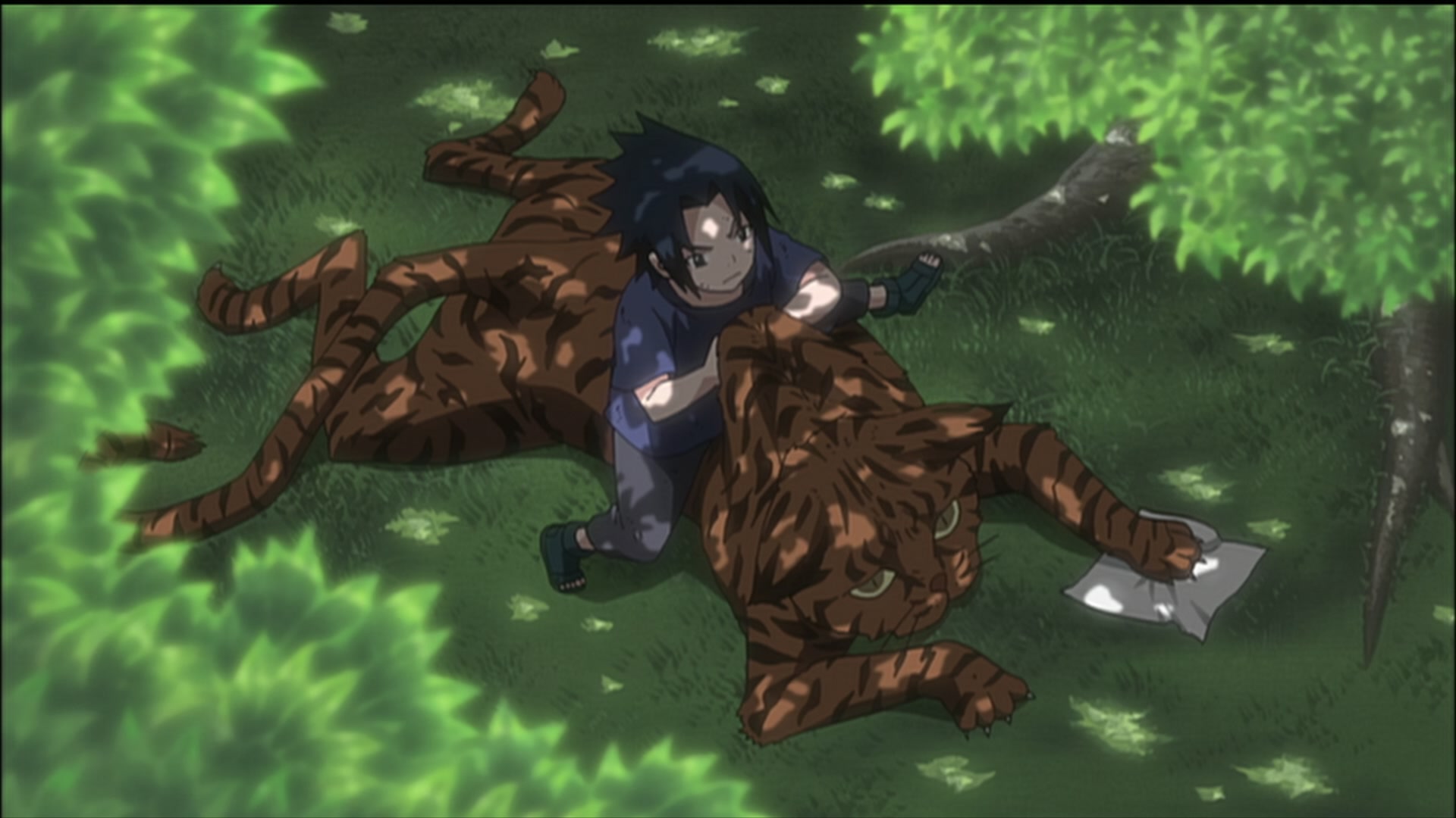 Naruto: Shippuden Ep 189: Sasuke's Paw Encyclopedia @ 00:05:30