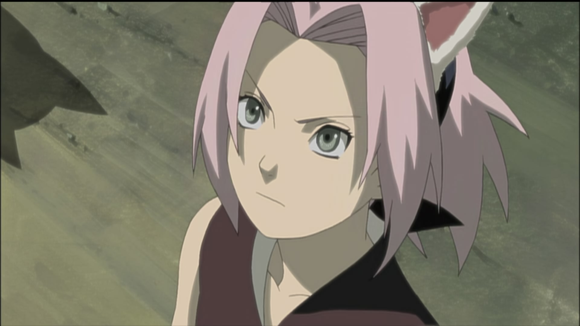 Naruto: Shippuden Ep 189: Sasuke's Paw Encyclopedia @ 00:14:14