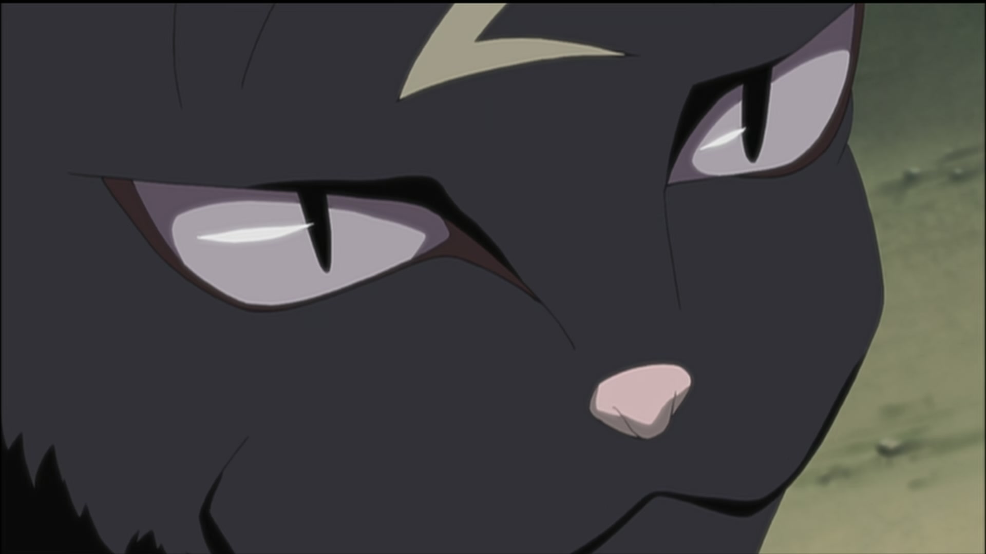 Naruto: Shippuden Ep 189: Sasuke's Paw Encyclopedia @ 00:14:24