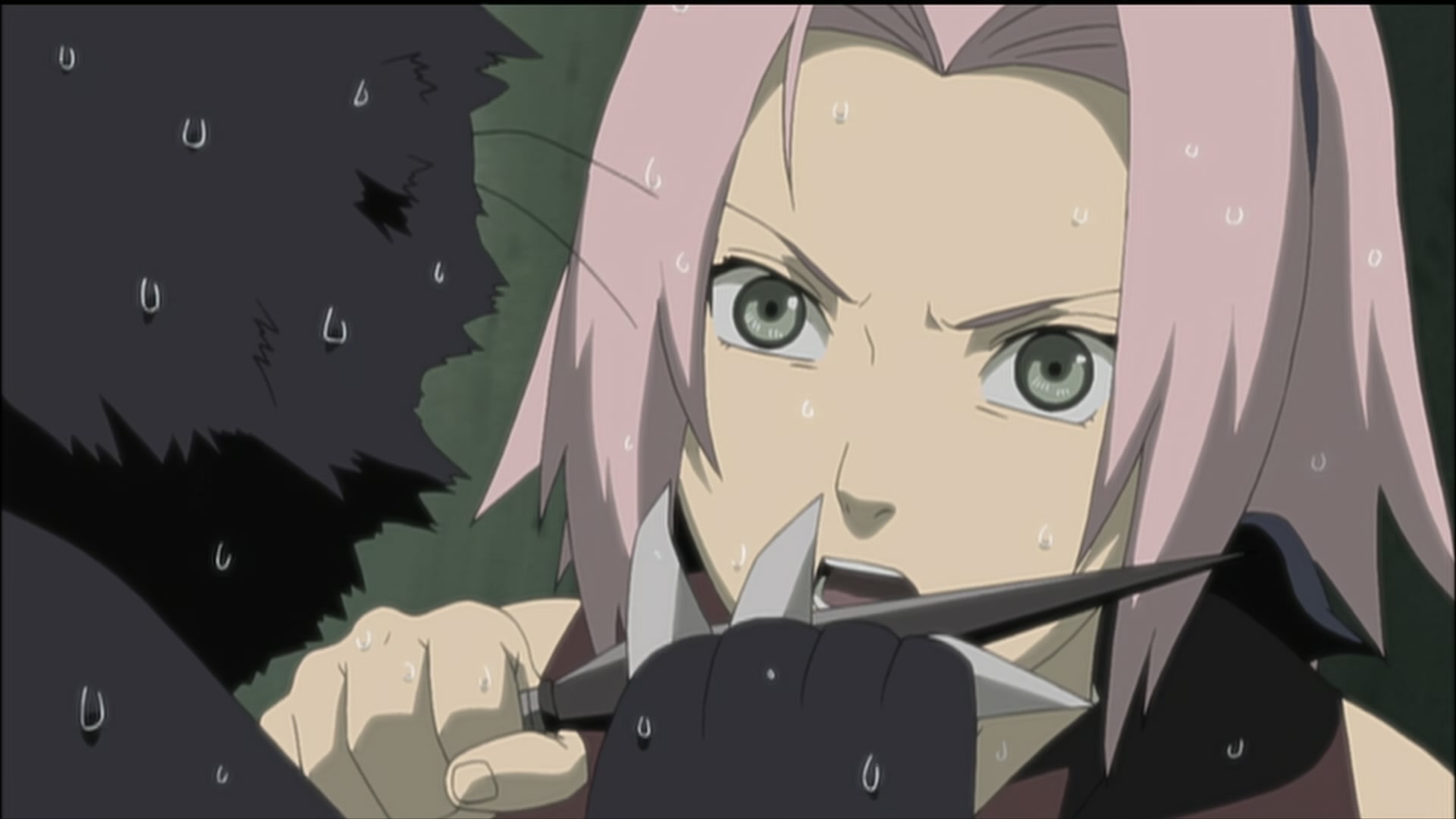 Naruto: Shippuden Ep 189: Sasuke's Paw Encyclopedia @ 00:15:49