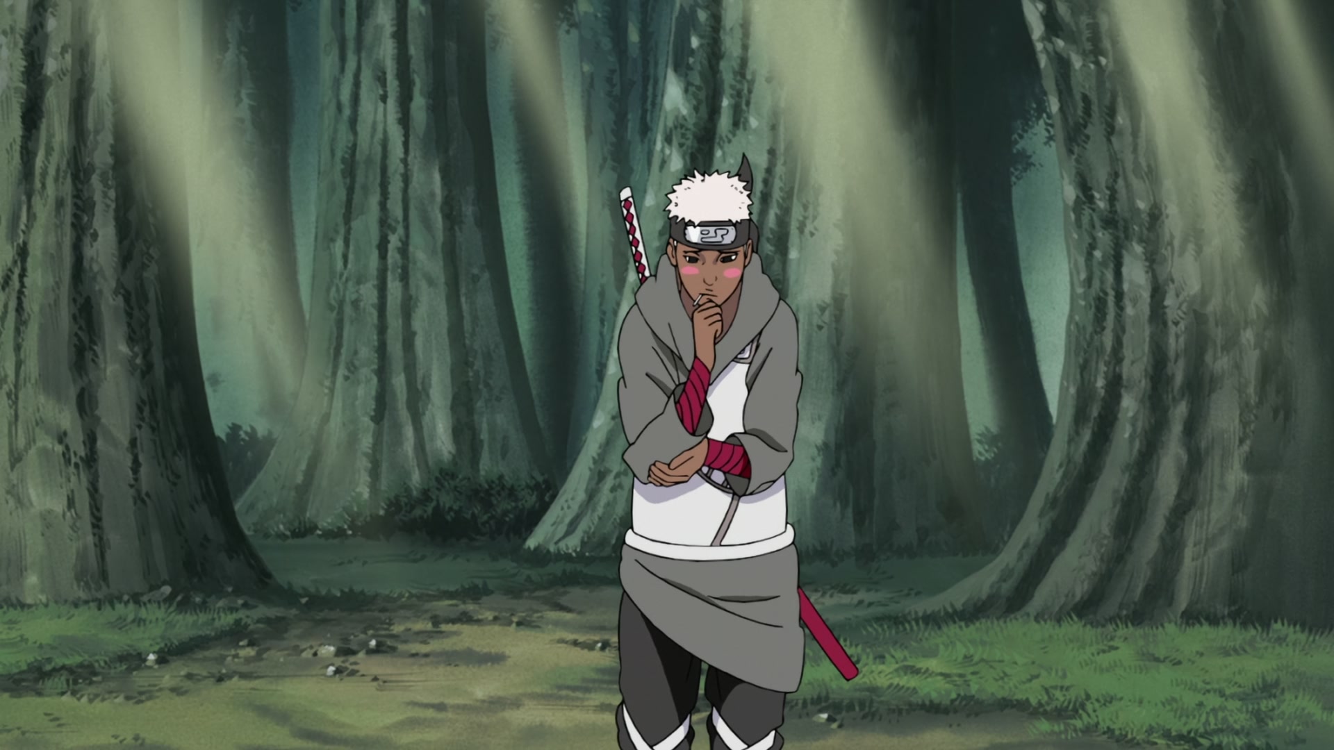 Naruto: Shippuden Ep 197: The Sixth Hokage Danzo @ 00:04:02