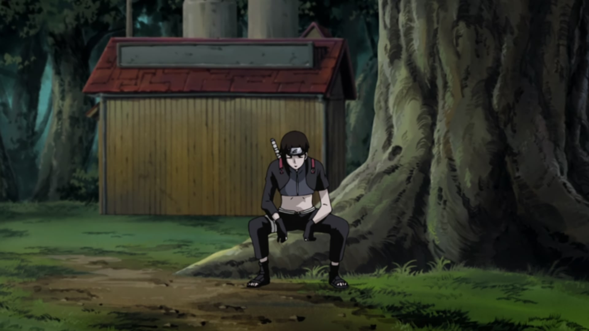 Naruto: Shippuden Ep 200: Naruto's Plea @ 00:03:14