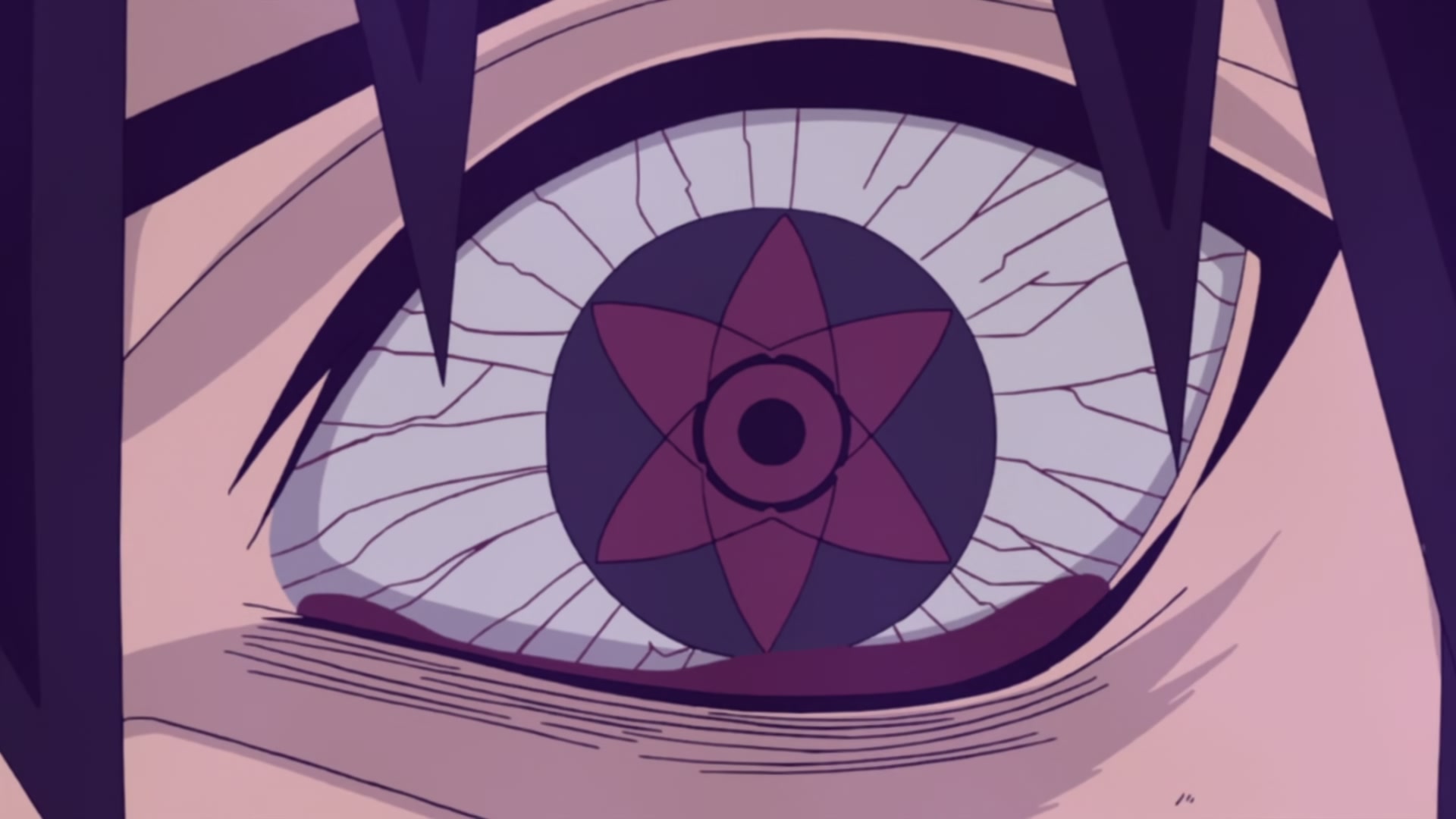 Naruto: Shippuden Ep 203: Sasuke's Ninja Way @ 00:10:45