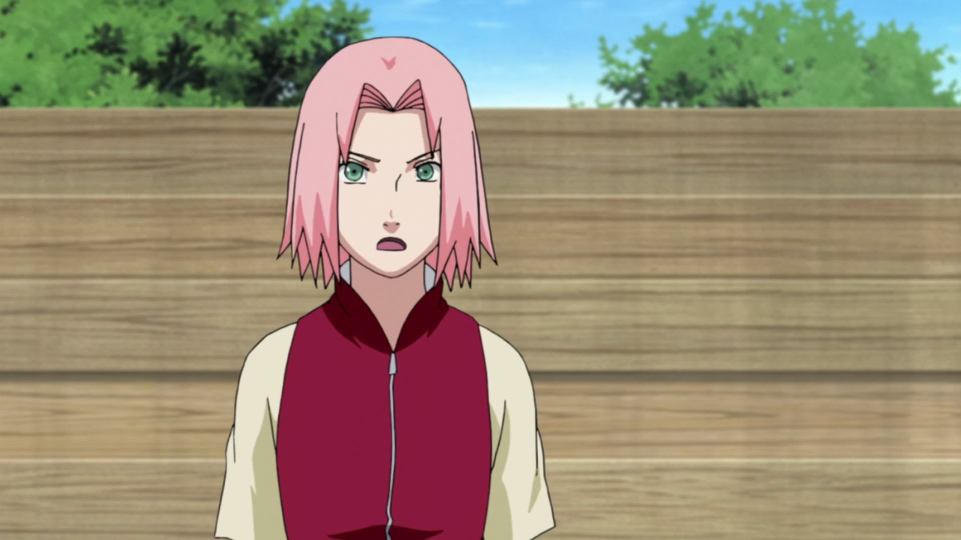 Naruto: Shippuden Ep 214: The Burden @ 00:14:05