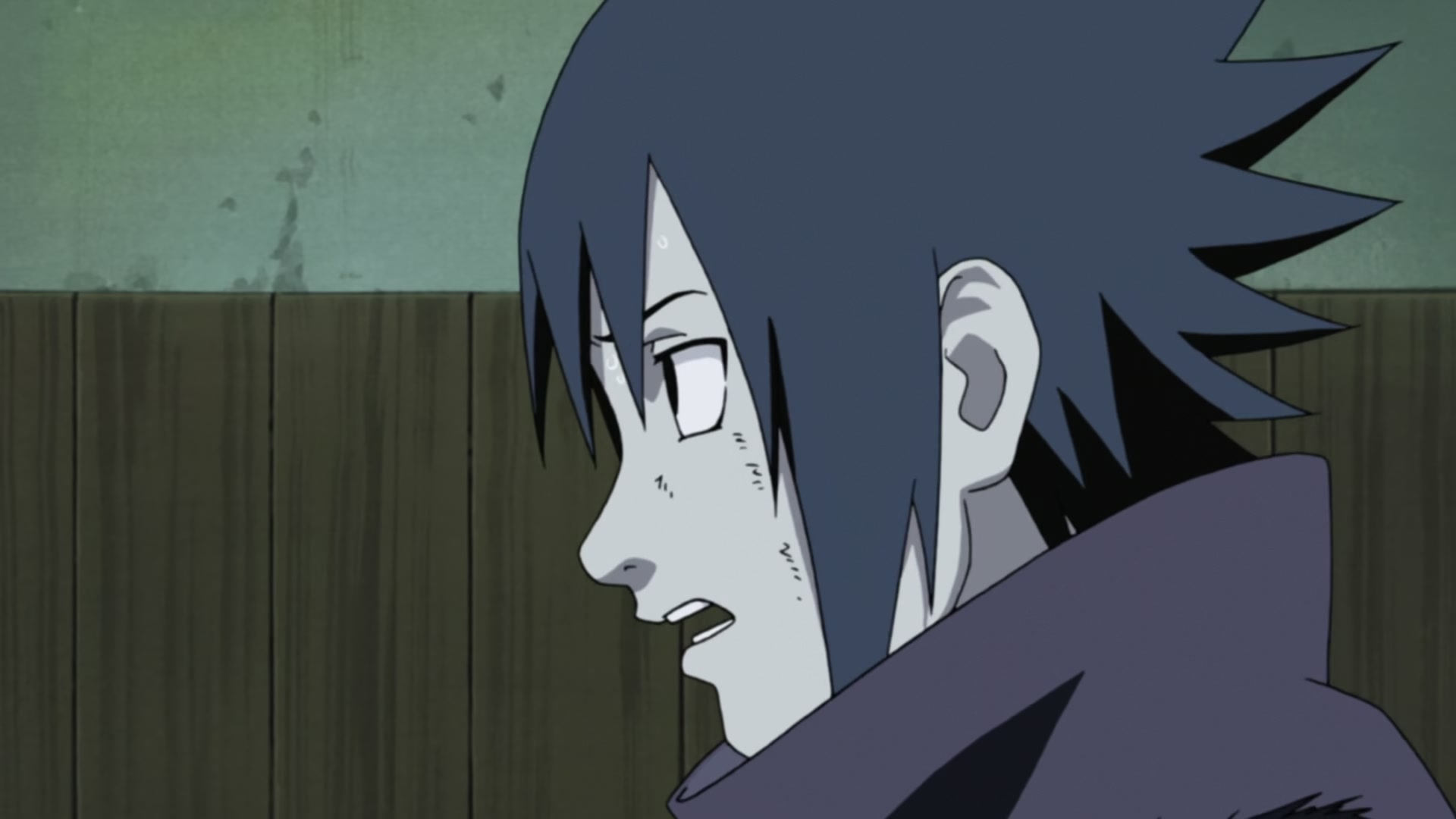 Naruto: Shippuden Ep 215: Two Fates @ 00:14:05