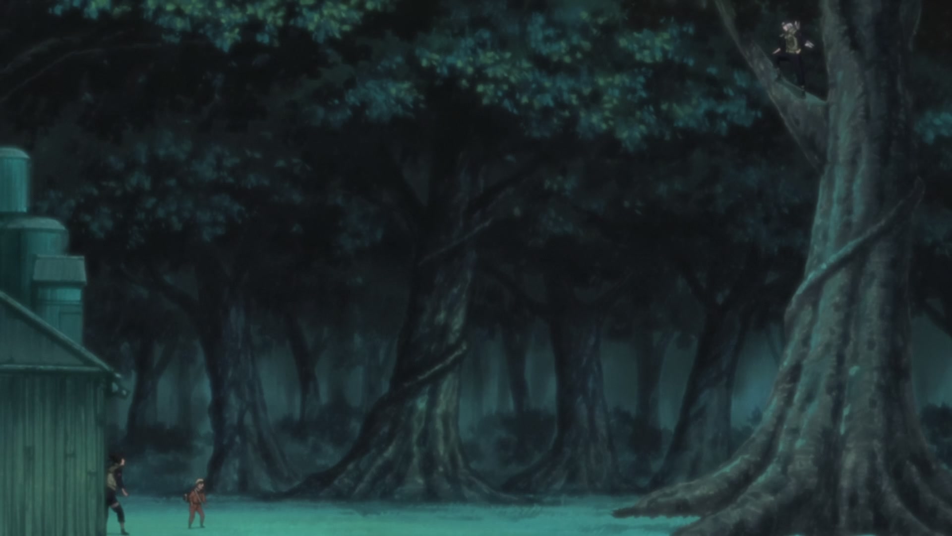Naruto: Shippuden Ep 215: Two Fates @ 00:18:08