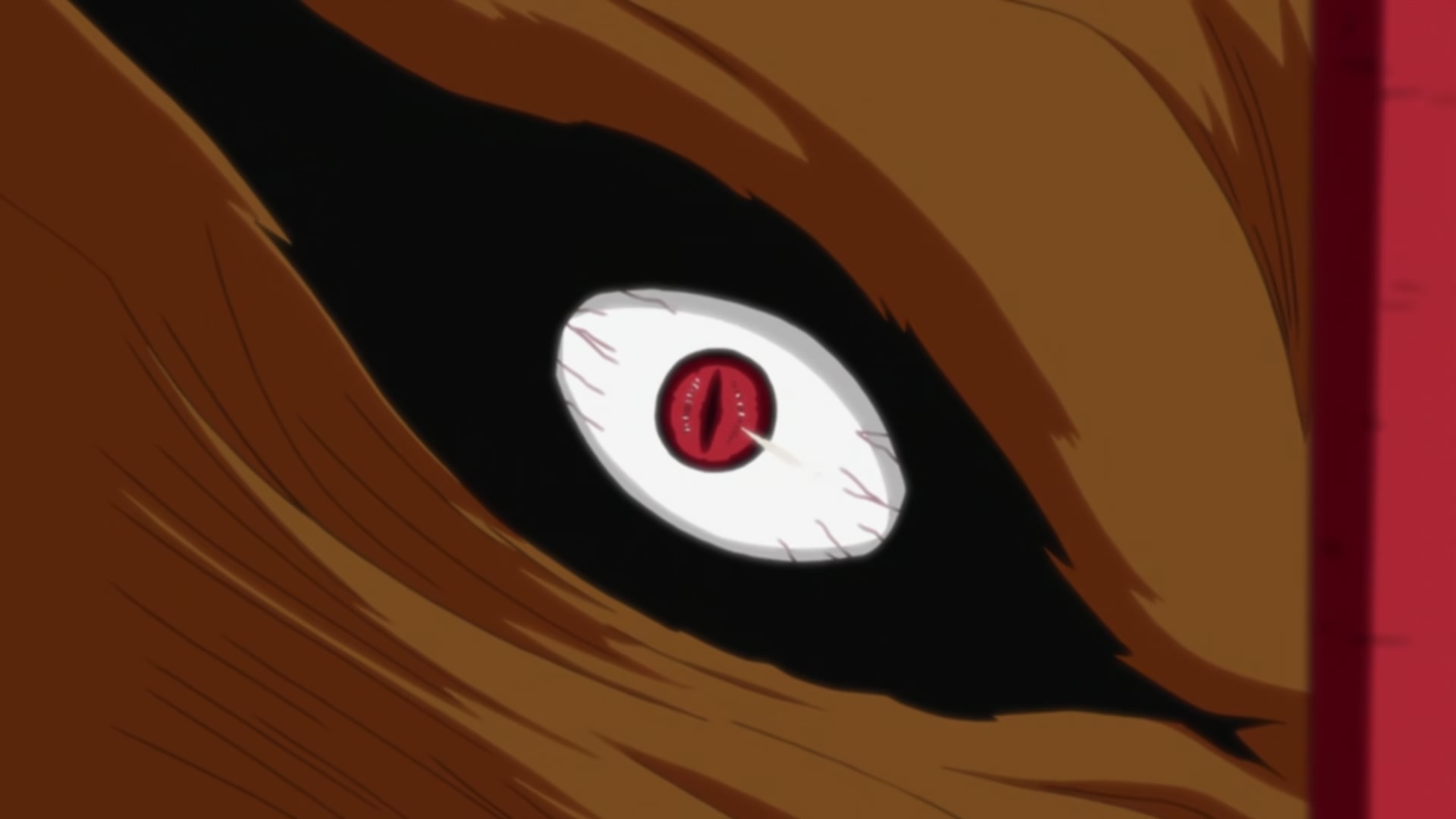 Naruto: Shippuden Ep 247: Target: Nine Tails @ 00:04:58