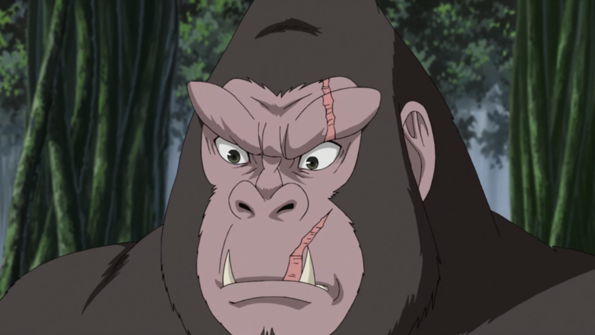 Naruto: Shippuden Ep 254: The Super Secret S-Rank Mission @ 00:07:44