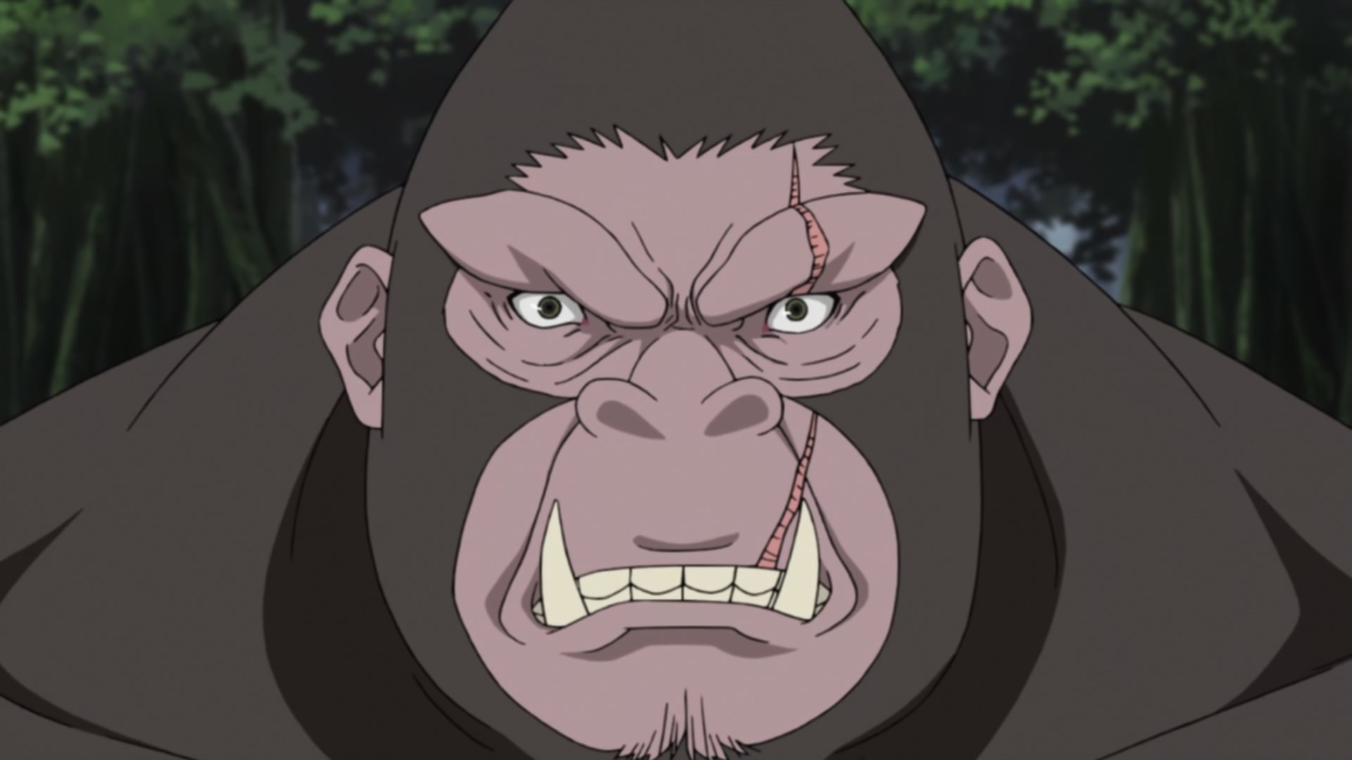 Naruto: Shippuden Ep 254: The Super Secret S-Rank Mission @ 00:09:00