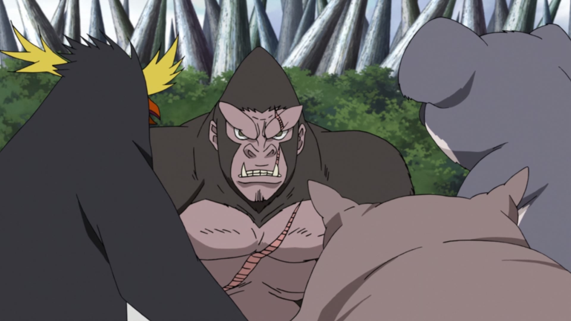 Naruto: Shippuden Ep 254: The Super Secret S-Rank Mission @ 00:09:14