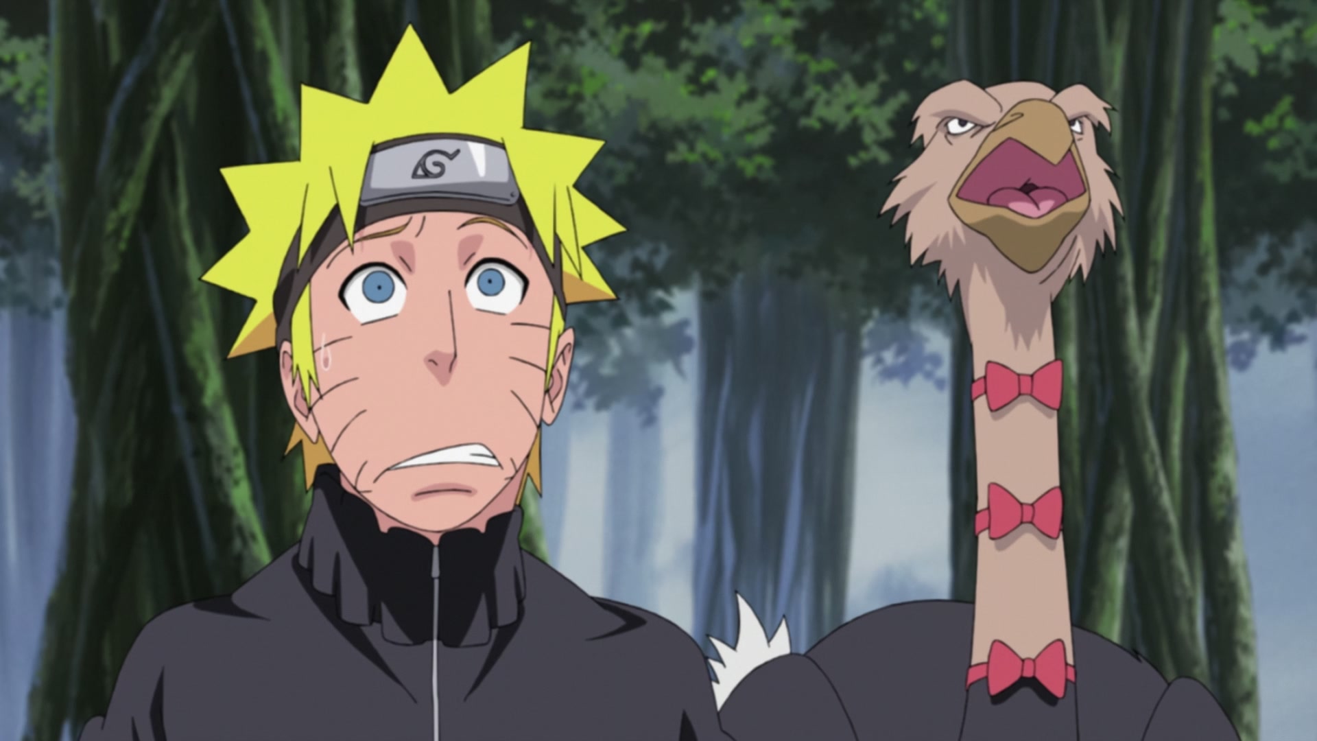 Naruto: Shippuden Ep 254: The Super Secret S-Rank Mission @ 00:09:38