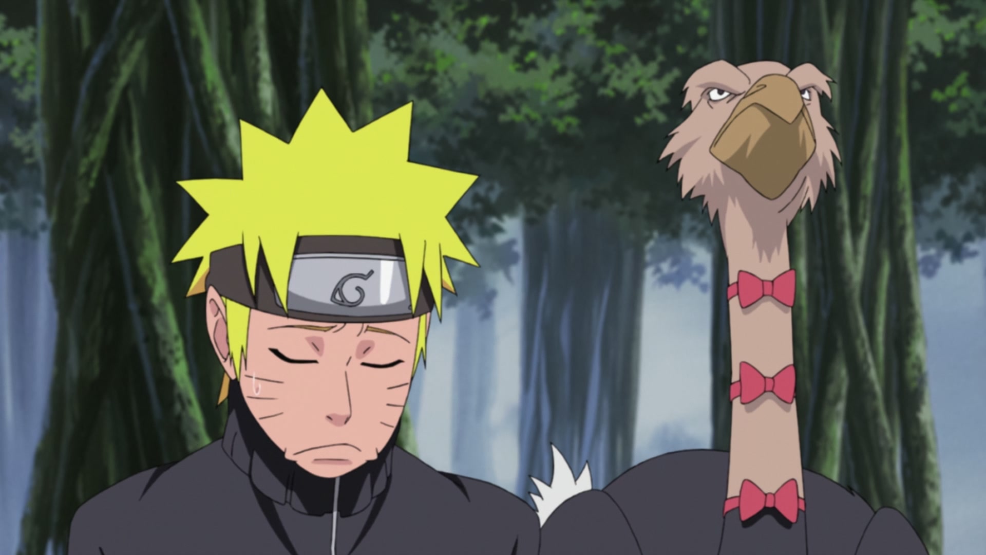 Naruto: Shippuden Ep 254: The Super Secret S-Rank Mission @ 00:09:43