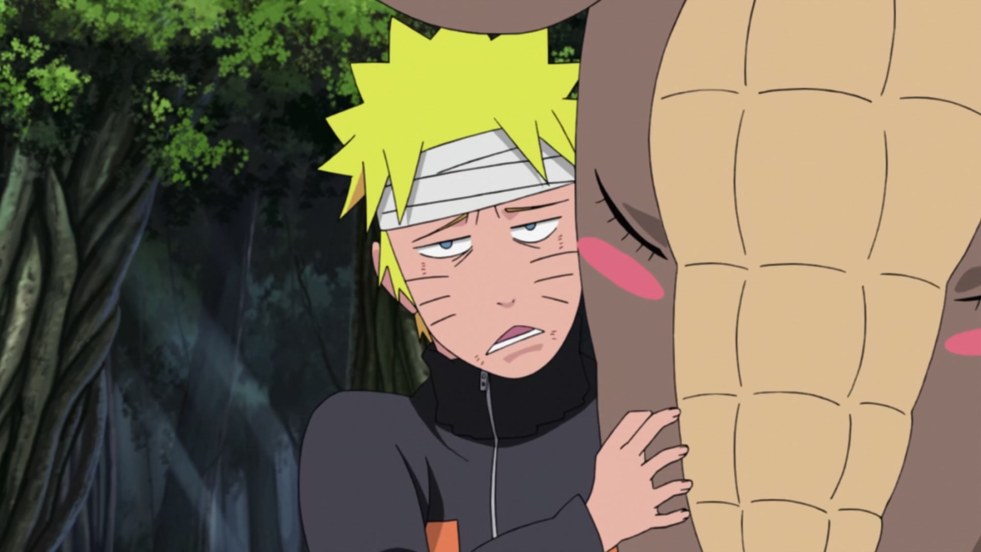 Naruto: Shippuden Ep 254: The Super Secret S-Rank Mission @ 00:18:38