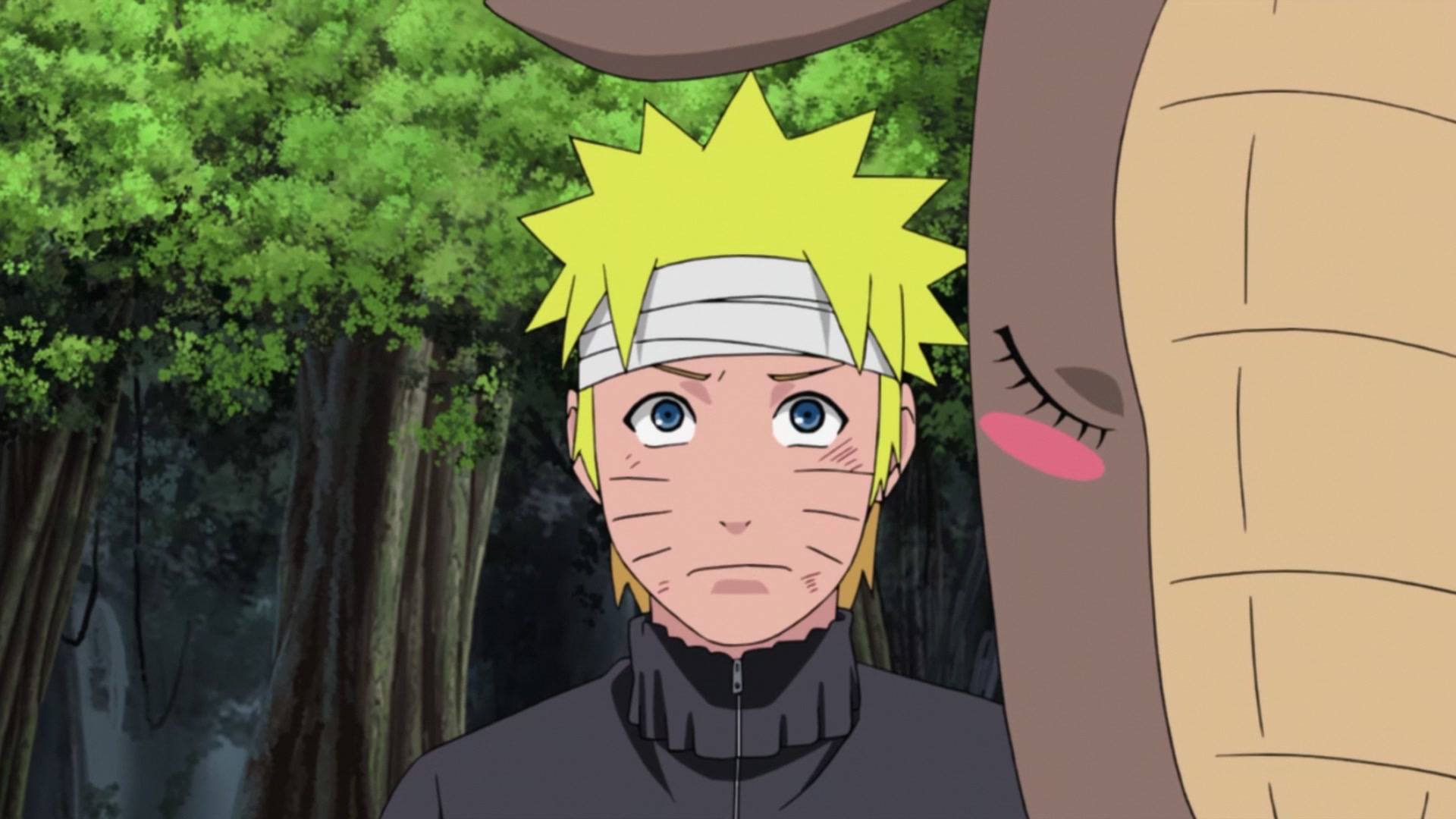 Naruto: Shippuden Ep 254: The Super Secret S-Rank Mission @ 00:18:43