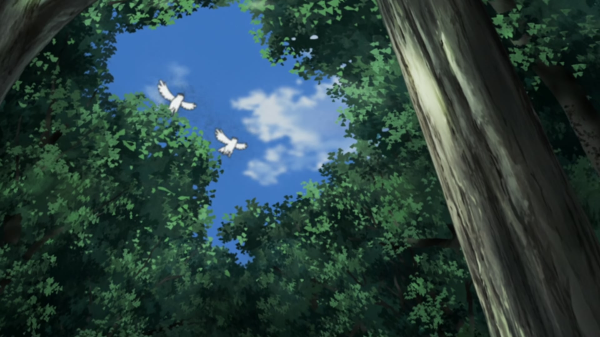 Naruto: Shippuden Ep 262: War Begins @ 00:05:17