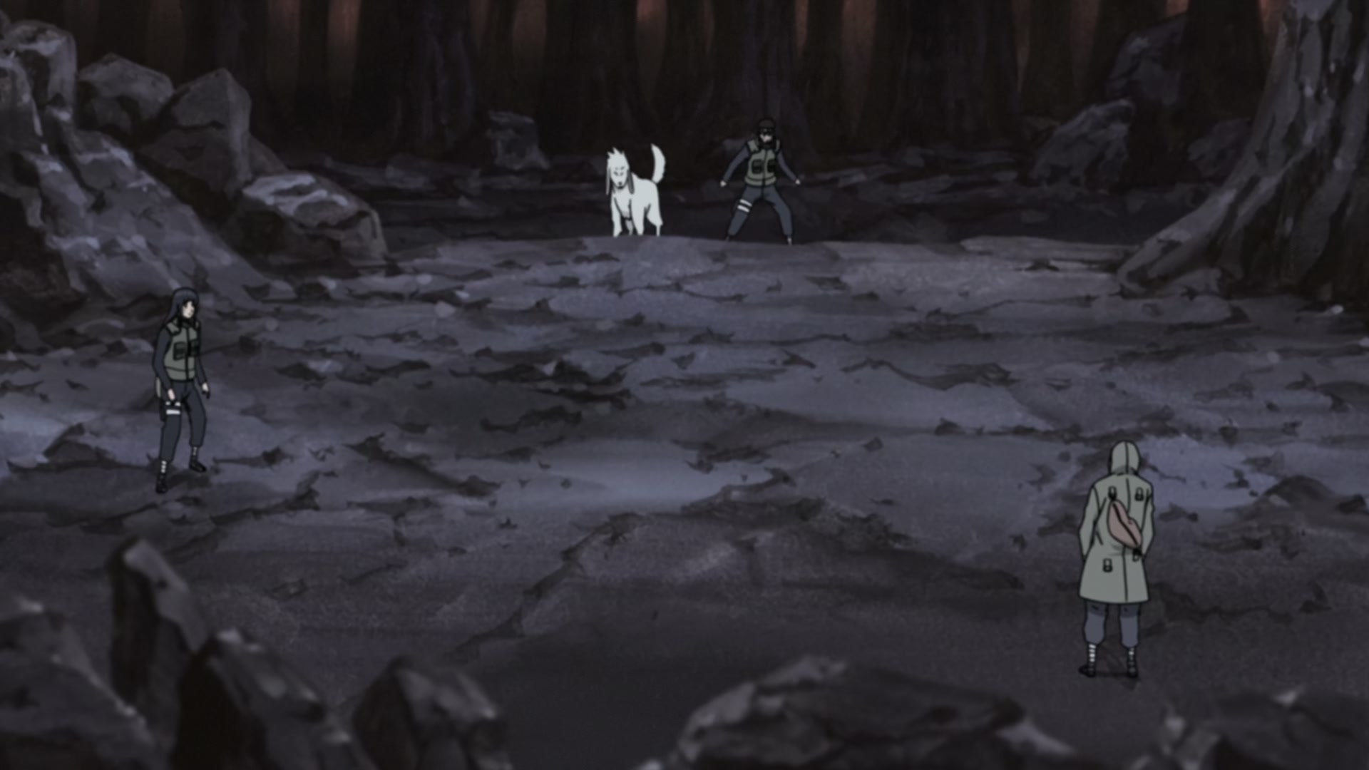 Naruto: Shippuden Ep 279: White Zetsu's Trap @ 00:11:11