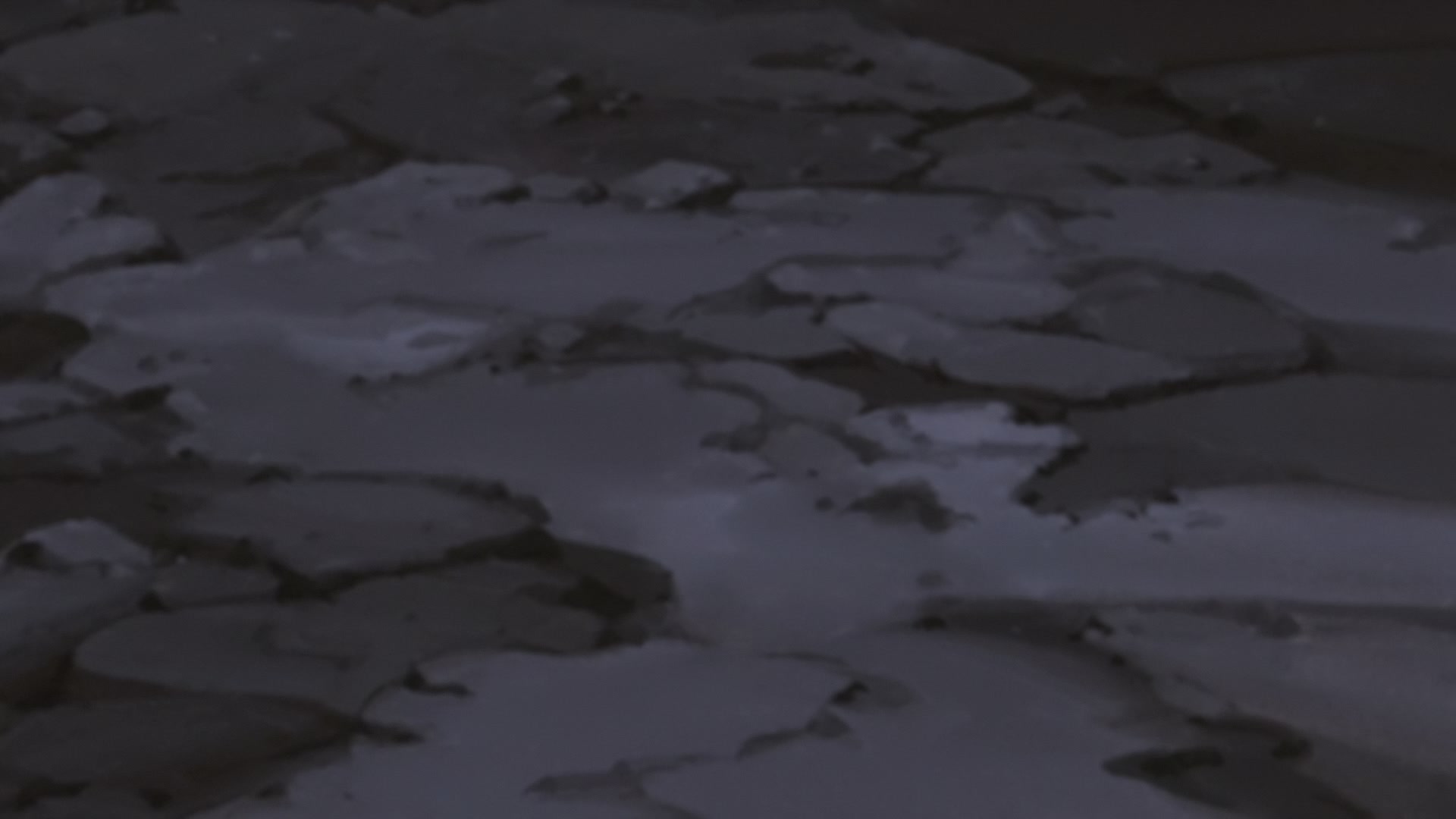 Naruto: Shippuden Ep 279: White Zetsu's Trap @ 00:12:08