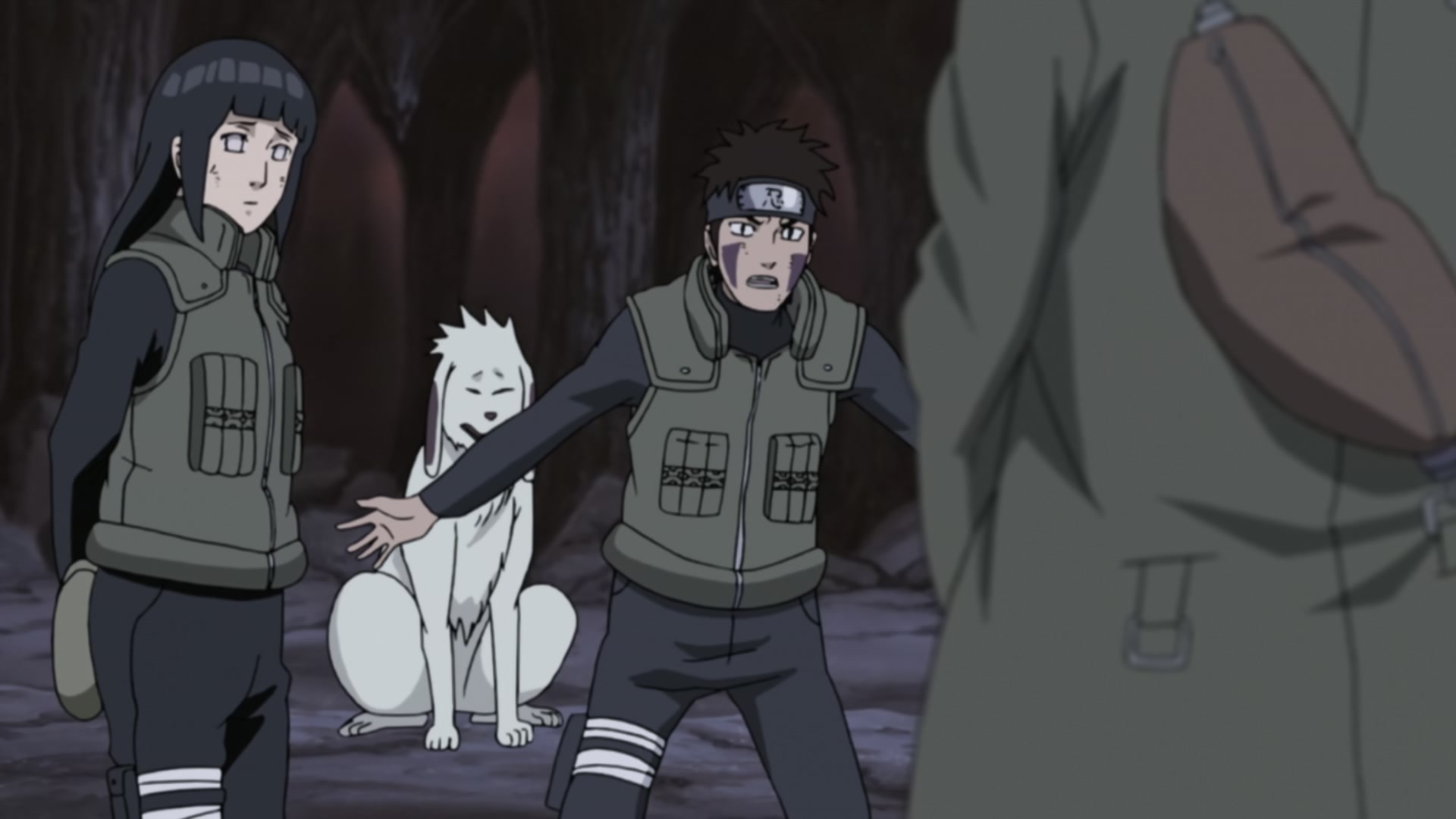 Naruto: Shippuden Ep 279: White Zetsu's Trap @ 00:13:57