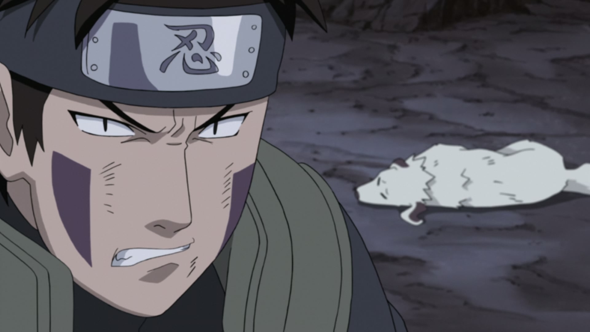 Naruto: Shippuden Ep 279: White Zetsu's Trap @ 00:16:14