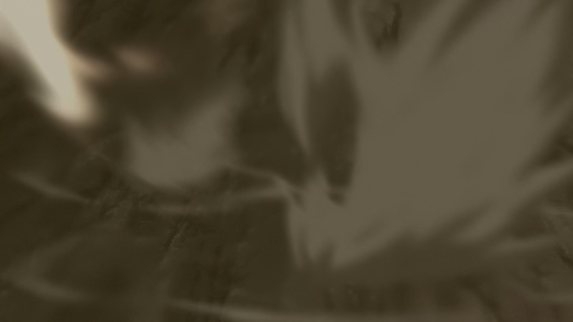 Naruto: Shippuden Ep 295: Power - Episode 6 @ 00:19:55