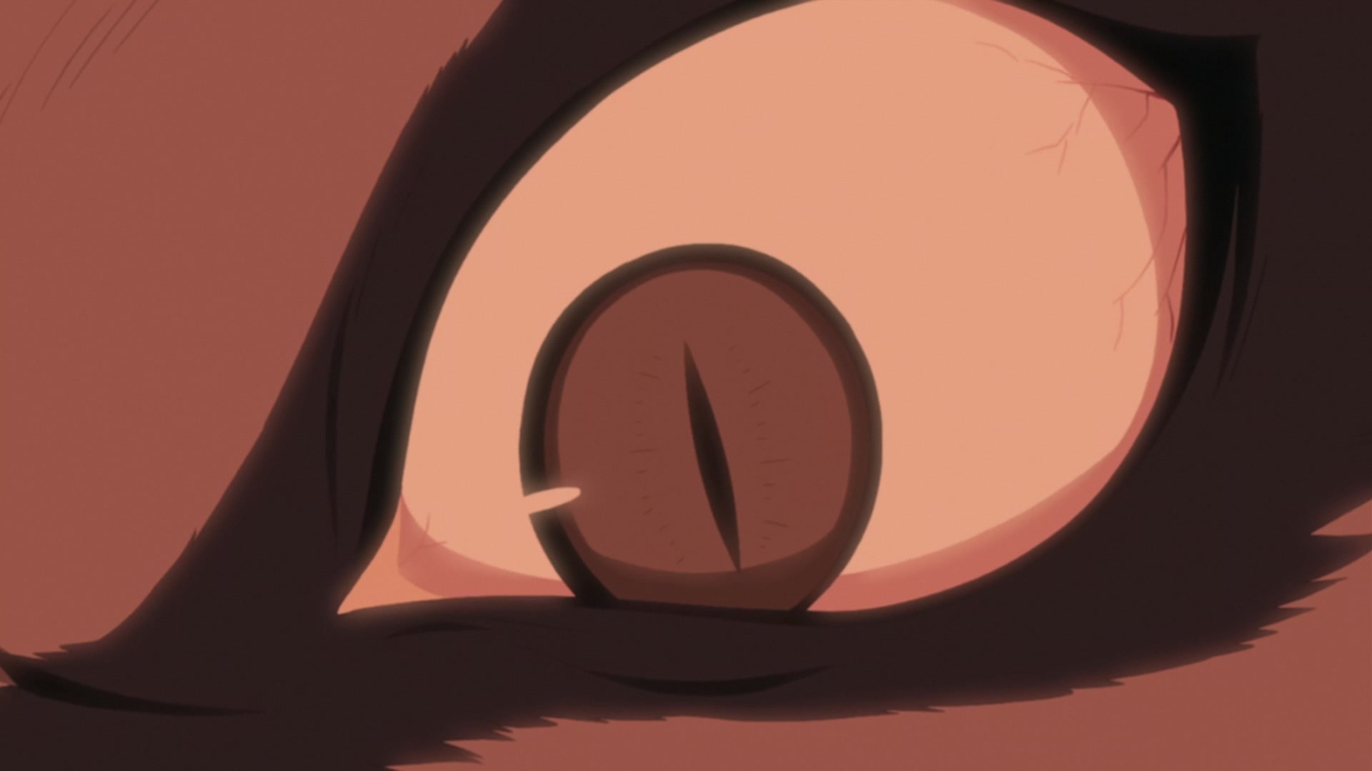 Naruto: Shippuden Ep 327: Nine Tails @ 00:14:48