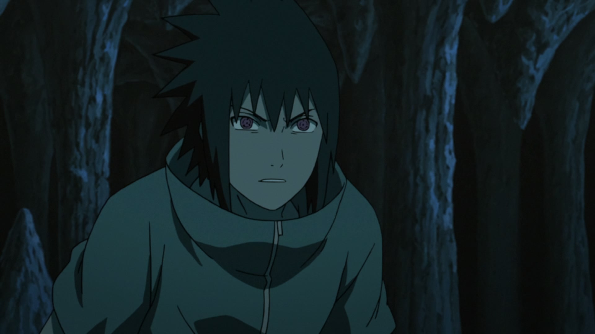 Naruto: Shippuden Ep 335: To Each Their Own Leaf @ 00:11:10