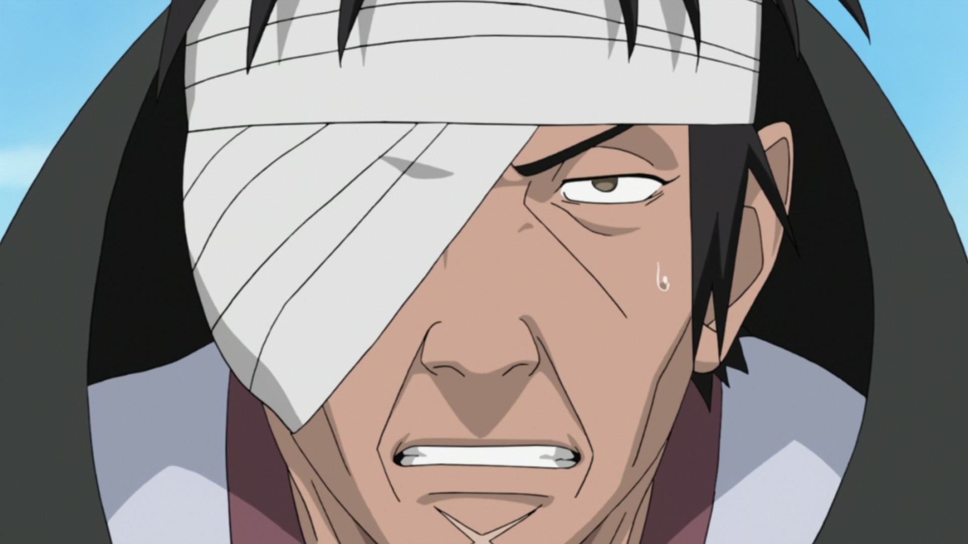 Naruto: Shippuden Ep 351: Hashirama's Cells @ 00:12:59