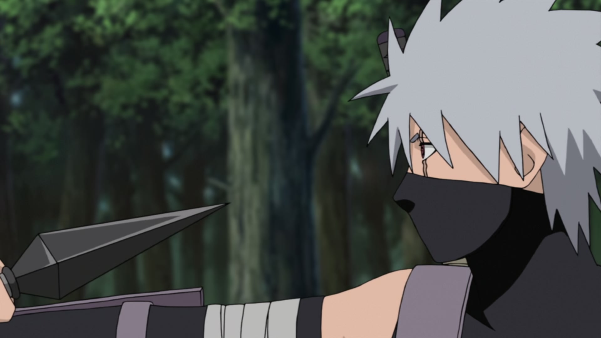 Naruto: Shippuden Ep 354: Their Own Paths @ 00:05:34