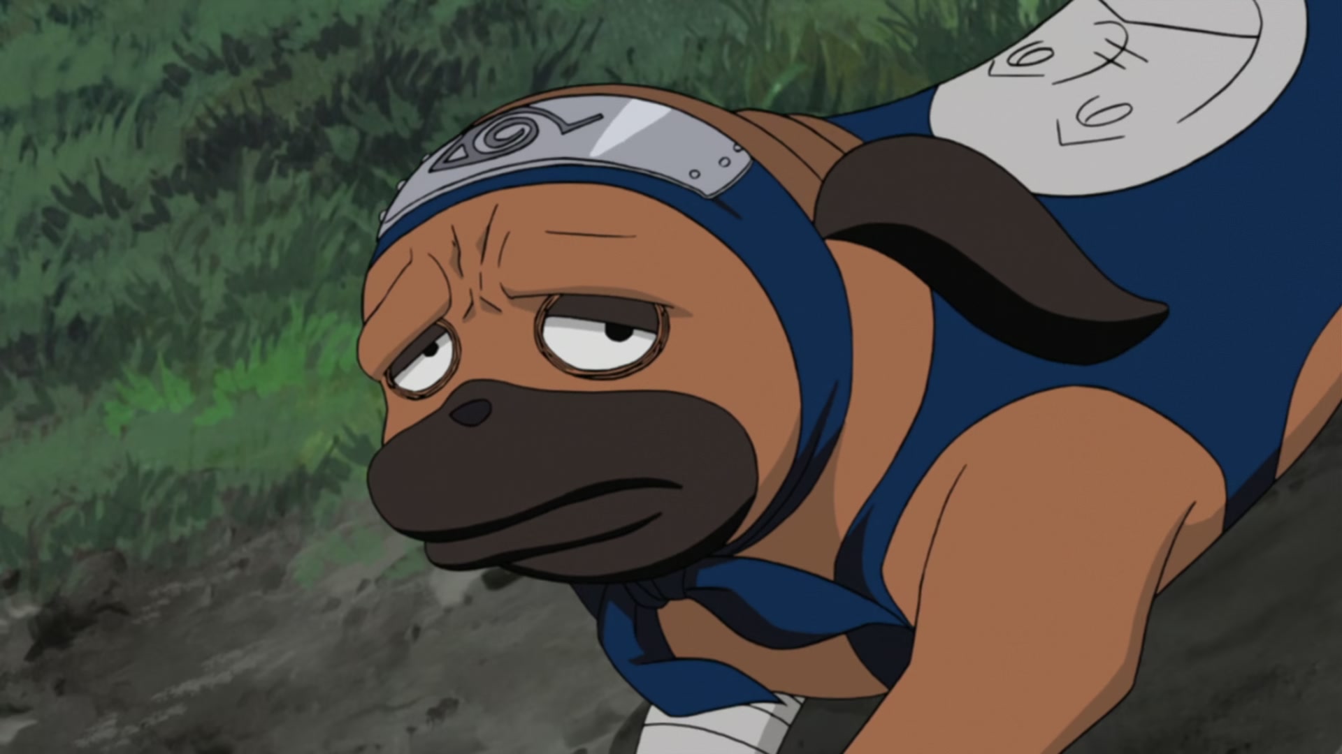 Naruto: Shippuden Ep 354: Their Own Paths @ 00:09:53
