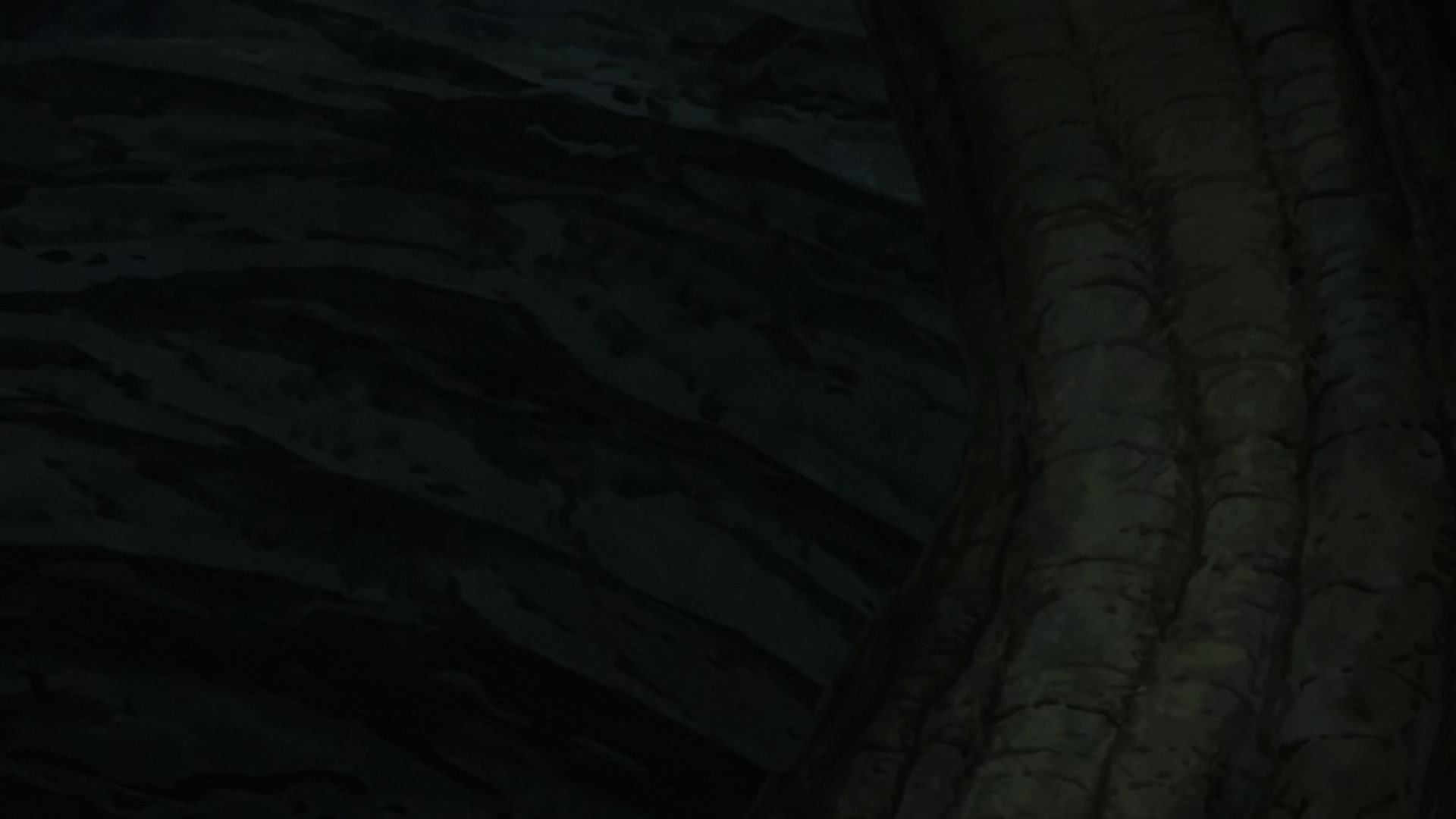 Naruto: Shippuden Ep 354: Their Own Paths @ 00:16:33