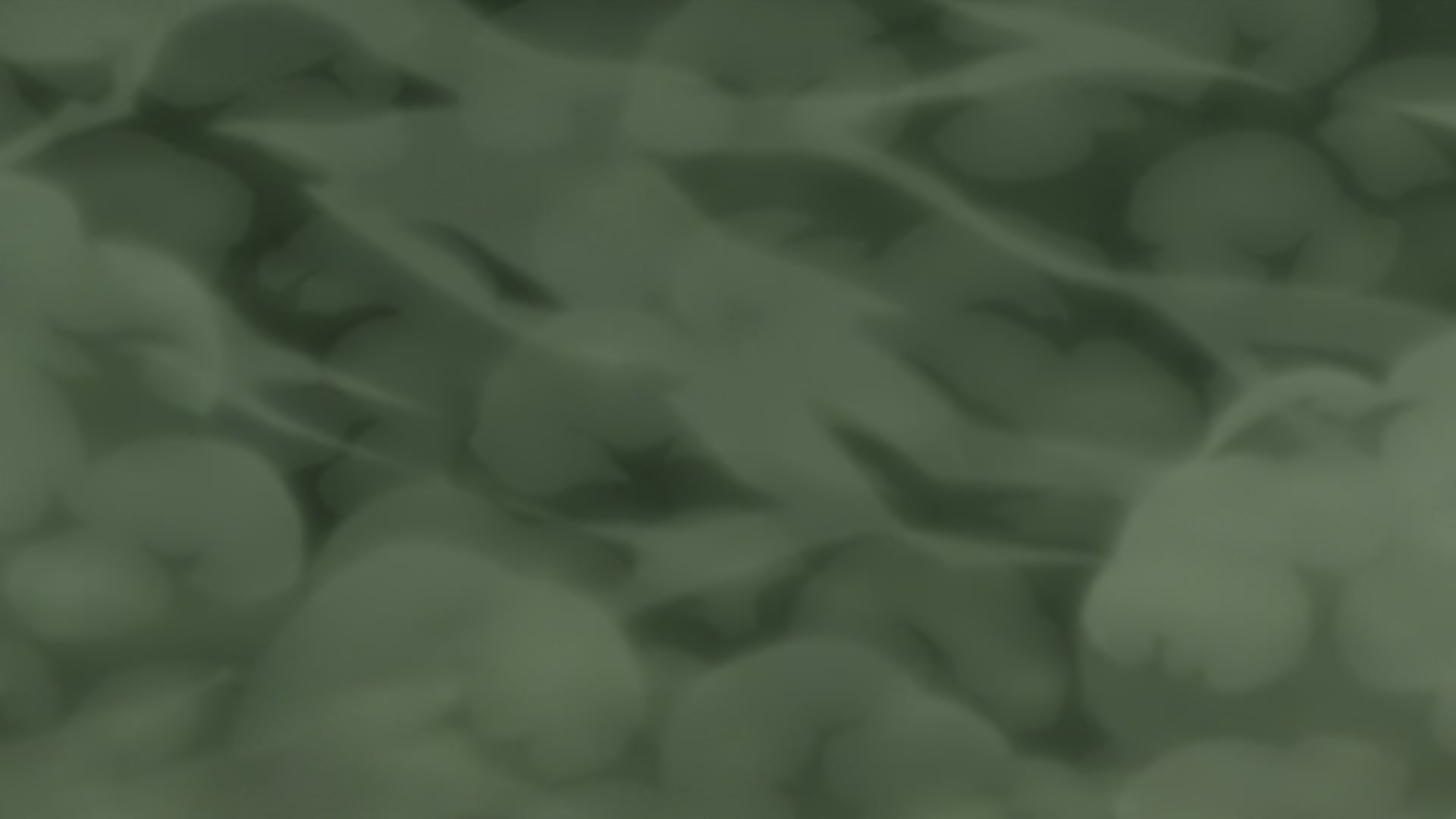 Naruto: Shippuden Ep 383: Pursuing Hope @ 00:10:47