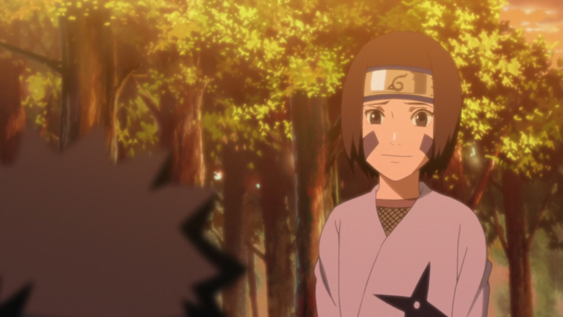 Naruto: Shippuden Ep 386: I'm Always Watching @ 00:12:40