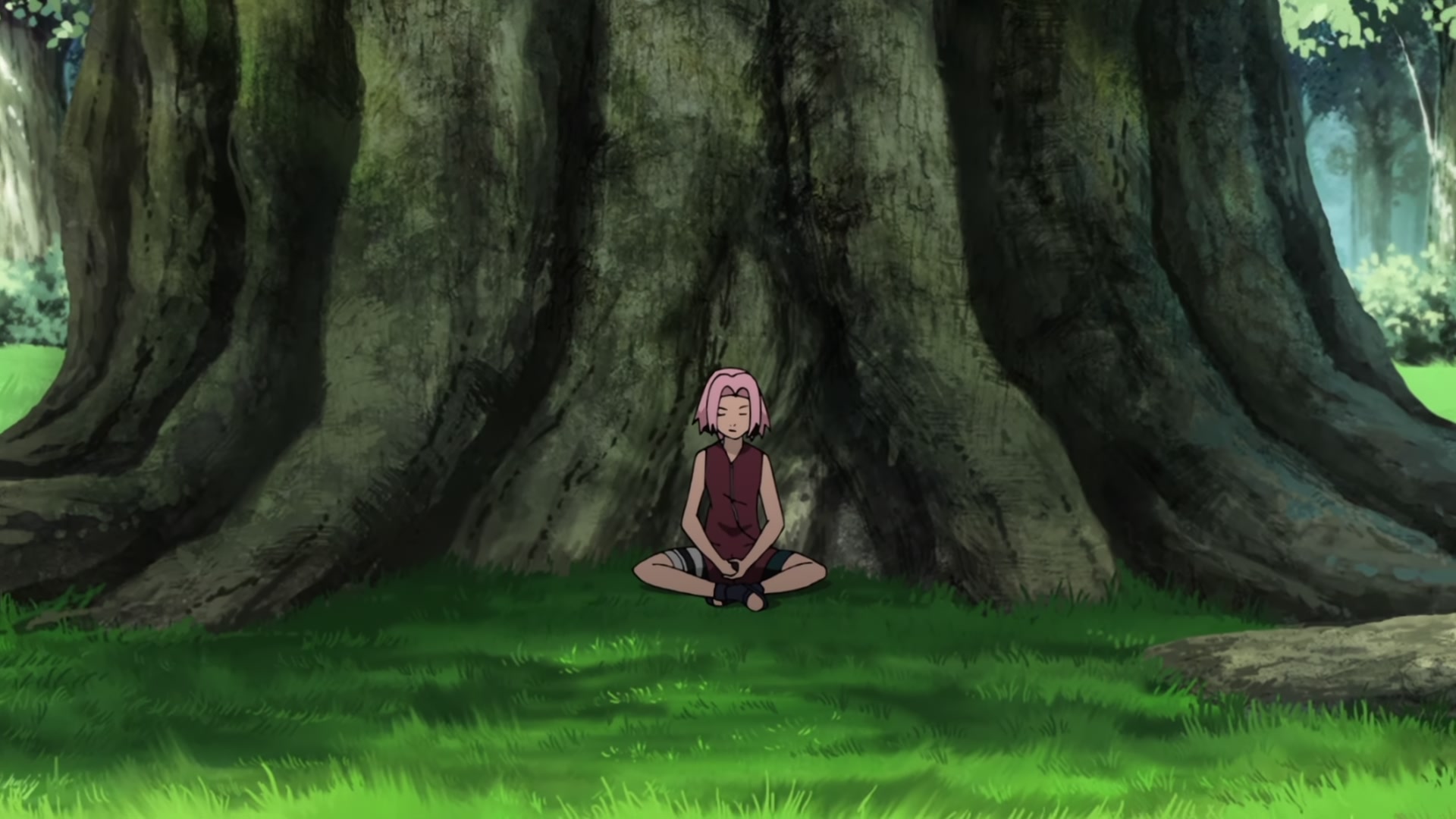 Naruto: Shippuden Ep 408: The Cursed Puppet @ 00:05:02
