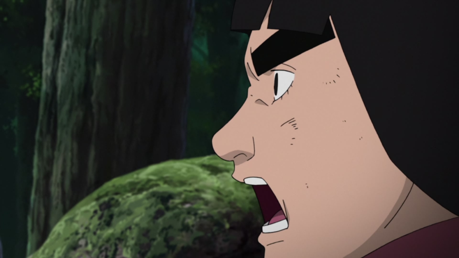 Naruto: Shippuden Ep 419: Papa's Youth @ 00:19:50