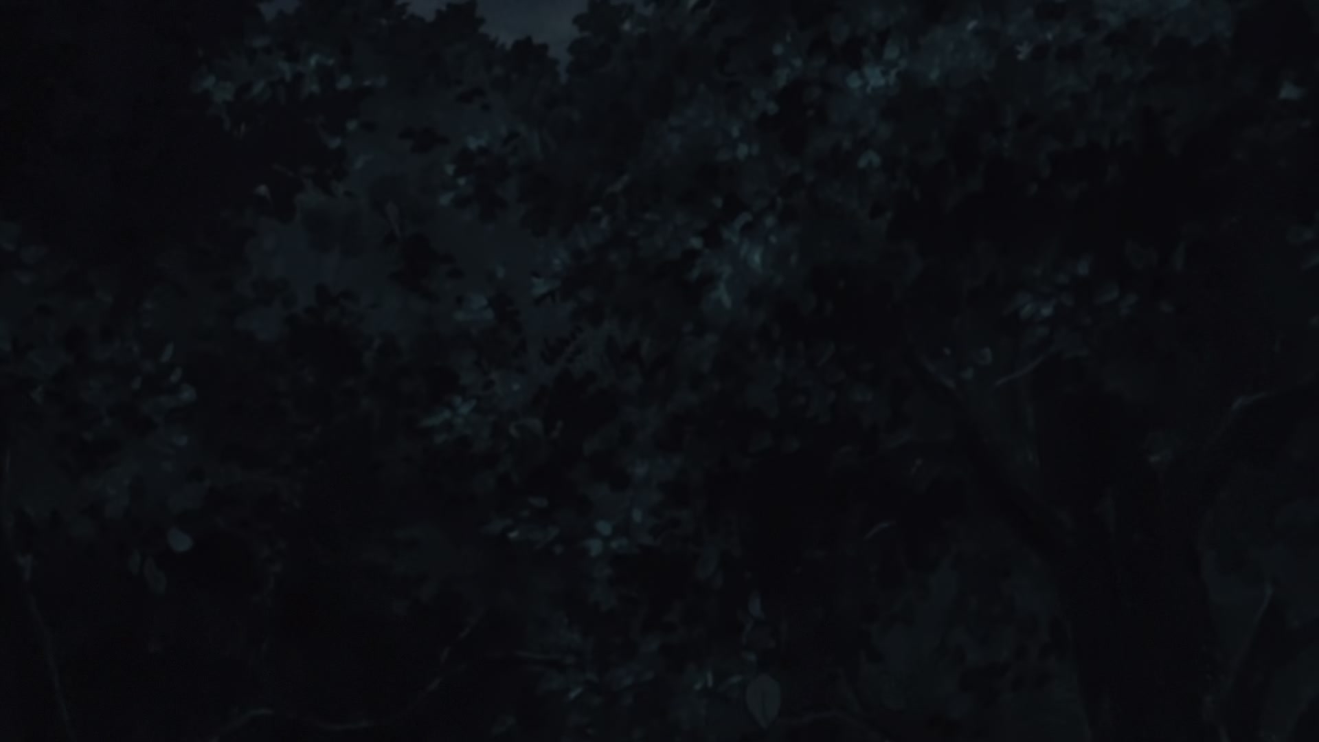 Naruto: Shippuden Ep 431: To See That Smile, Just One More Time @ 00:12:06