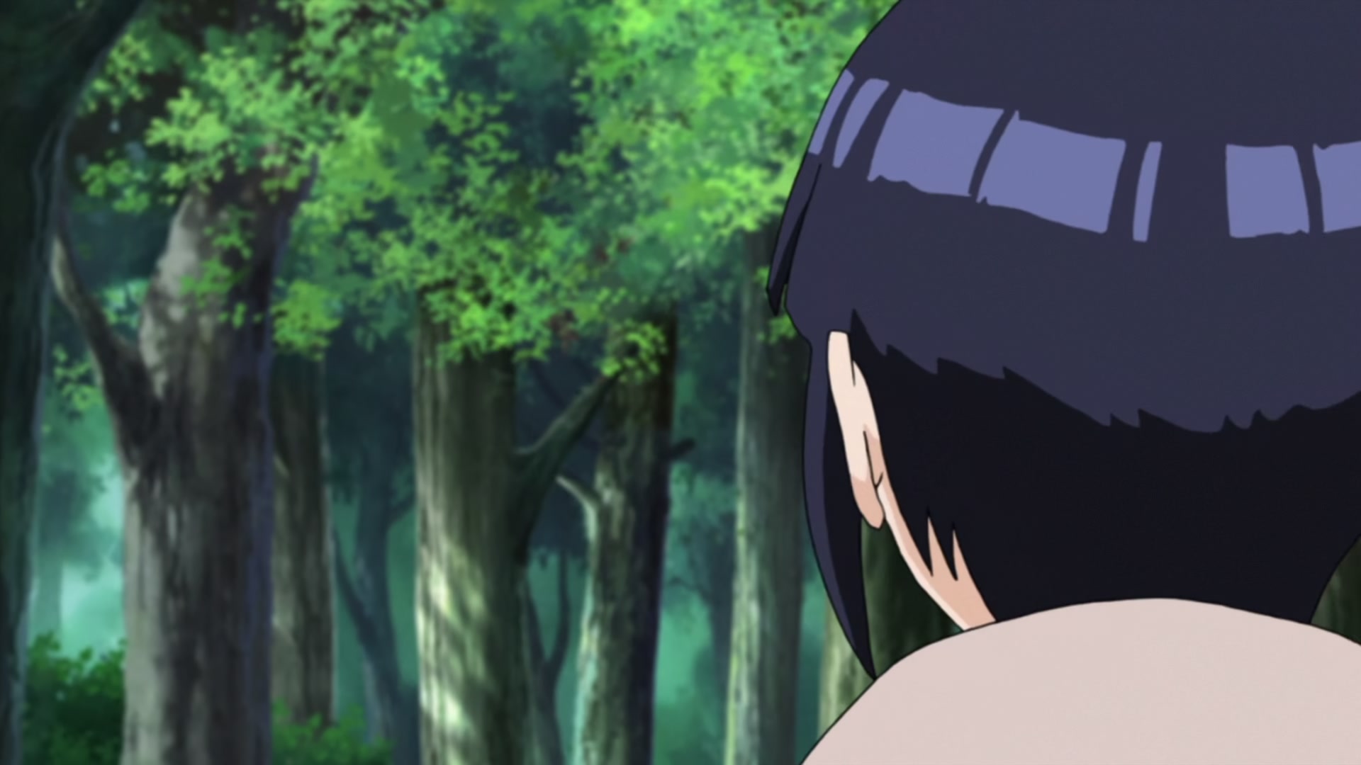 Naruto: Shippuden Ep 433: The Search Mission @ 00:09:17