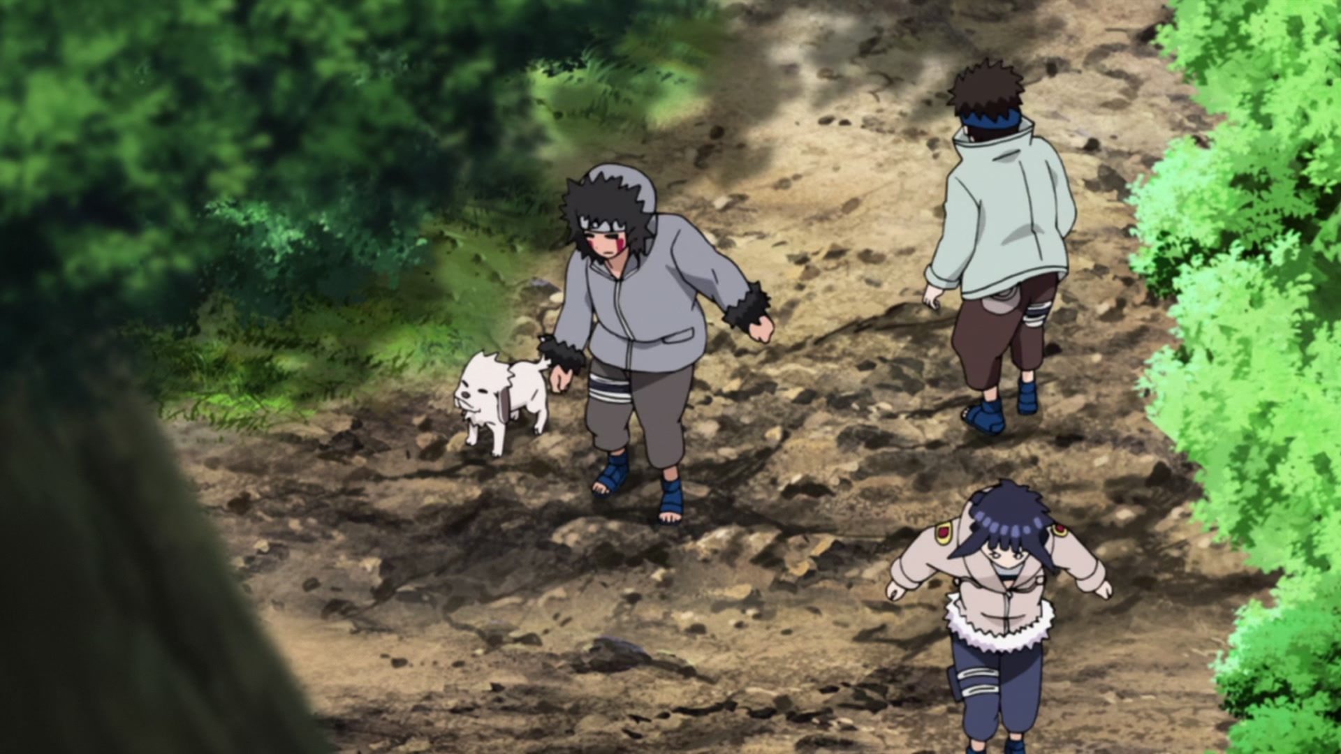 Naruto: Shippuden Ep 434: Team Jiraiya @ 00:08:58