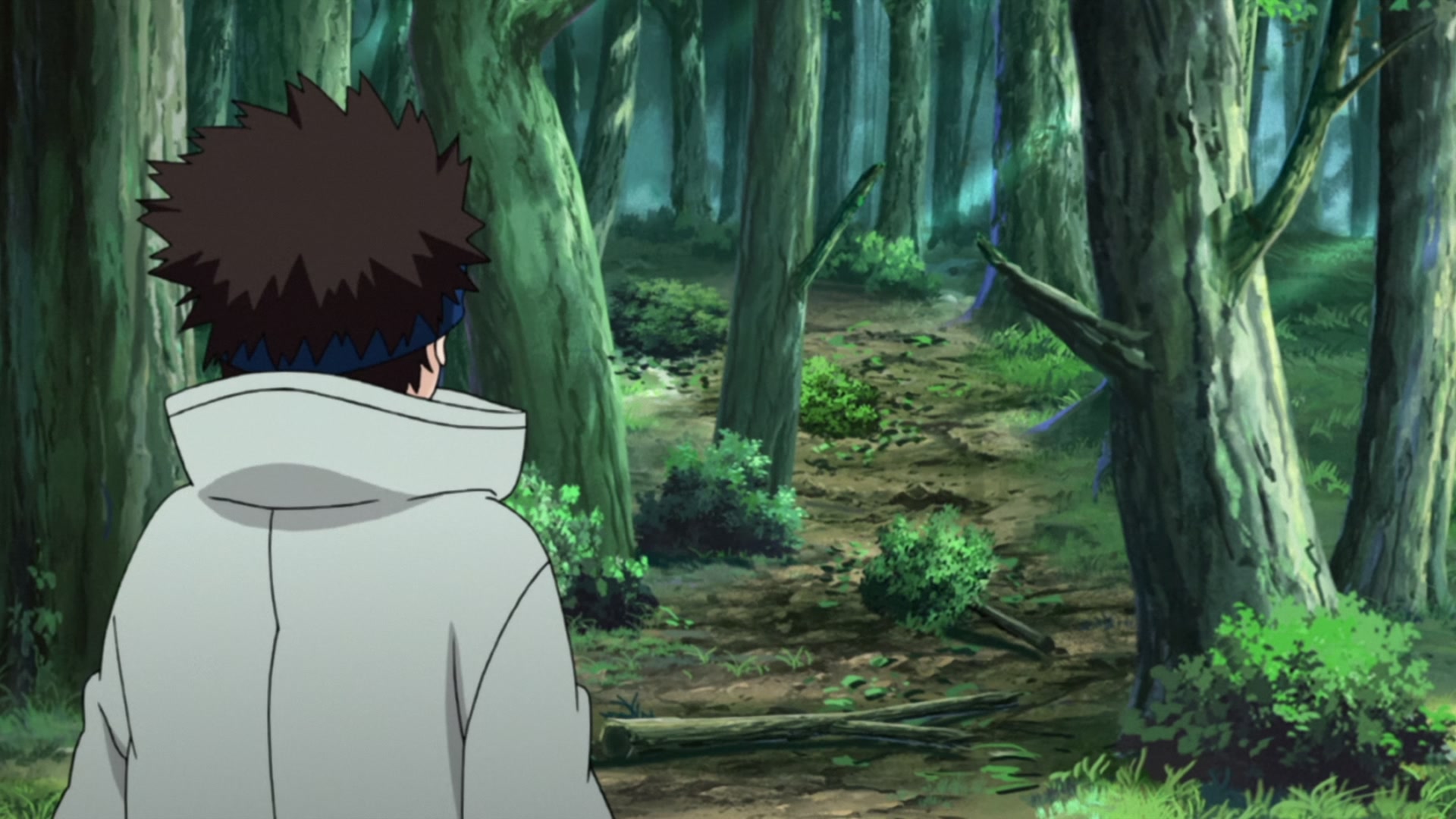 Naruto: Shippuden Ep 434: Team Jiraiya @ 00:09:17