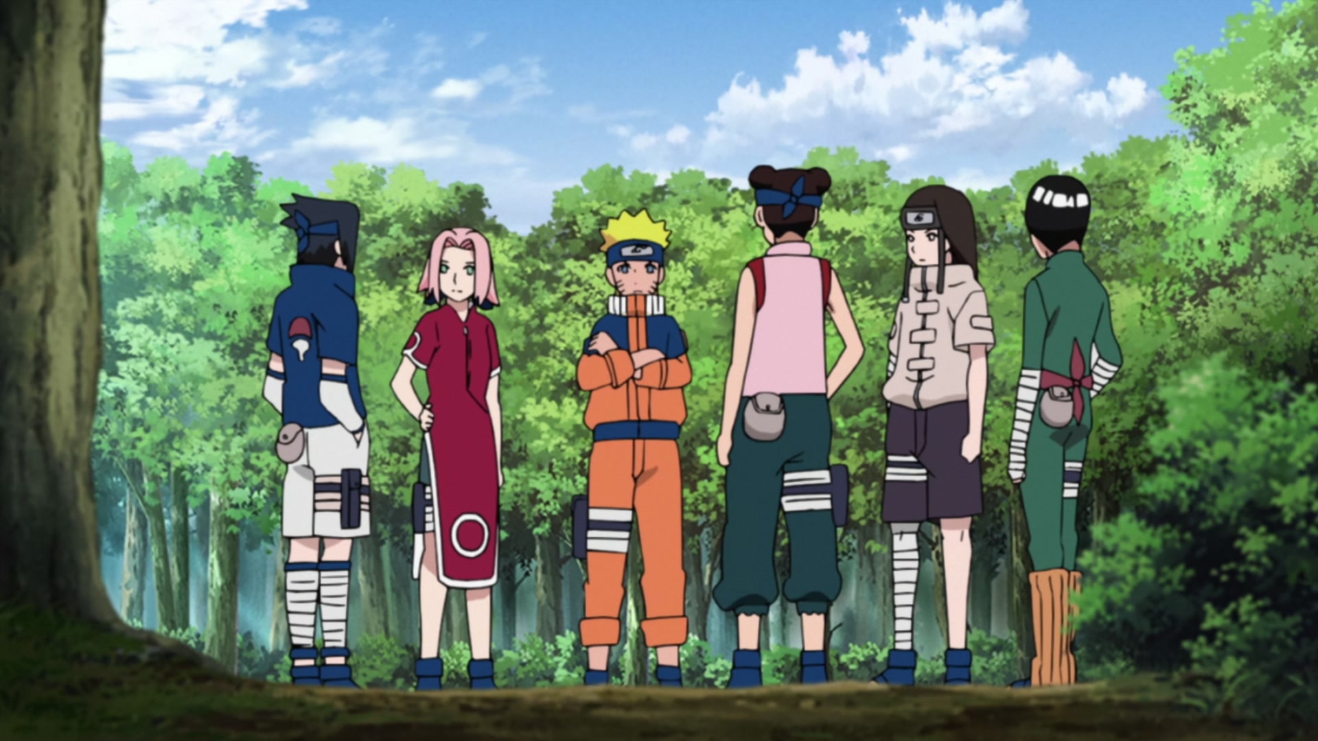 Naruto: Shippuden Ep 434: Team Jiraiya @ 00:14:14