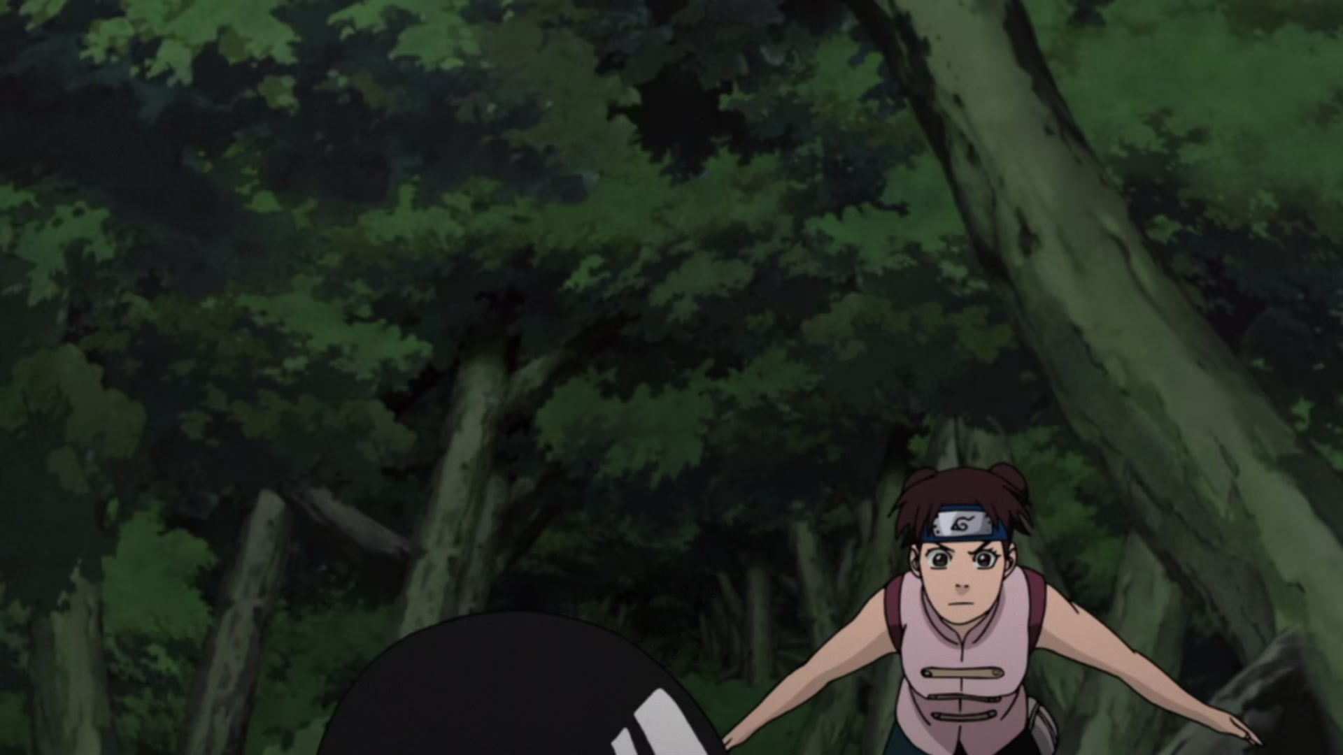 Naruto: Shippuden Ep 437: The Sealed Power @ 00:11:10