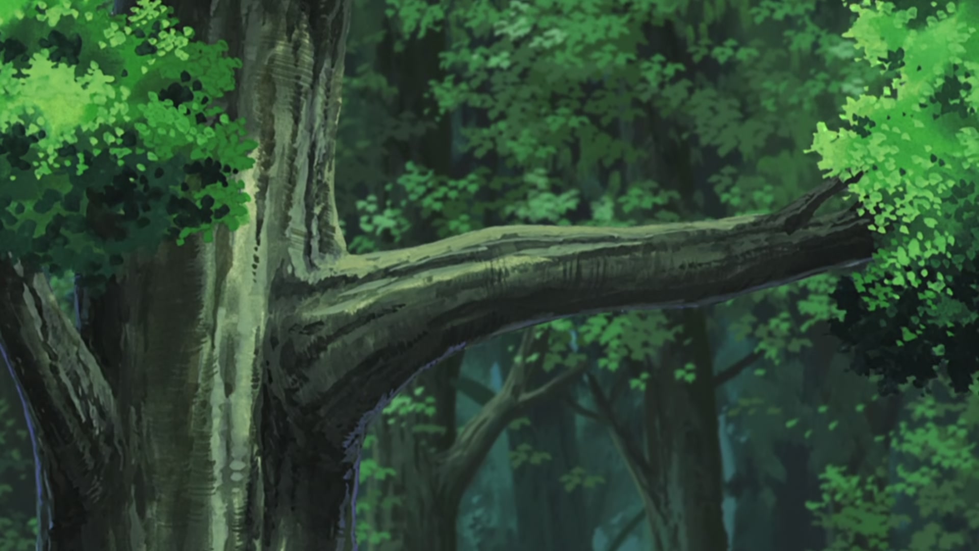 Naruto: Shippuden Ep 437: The Sealed Power @ 00:13:55