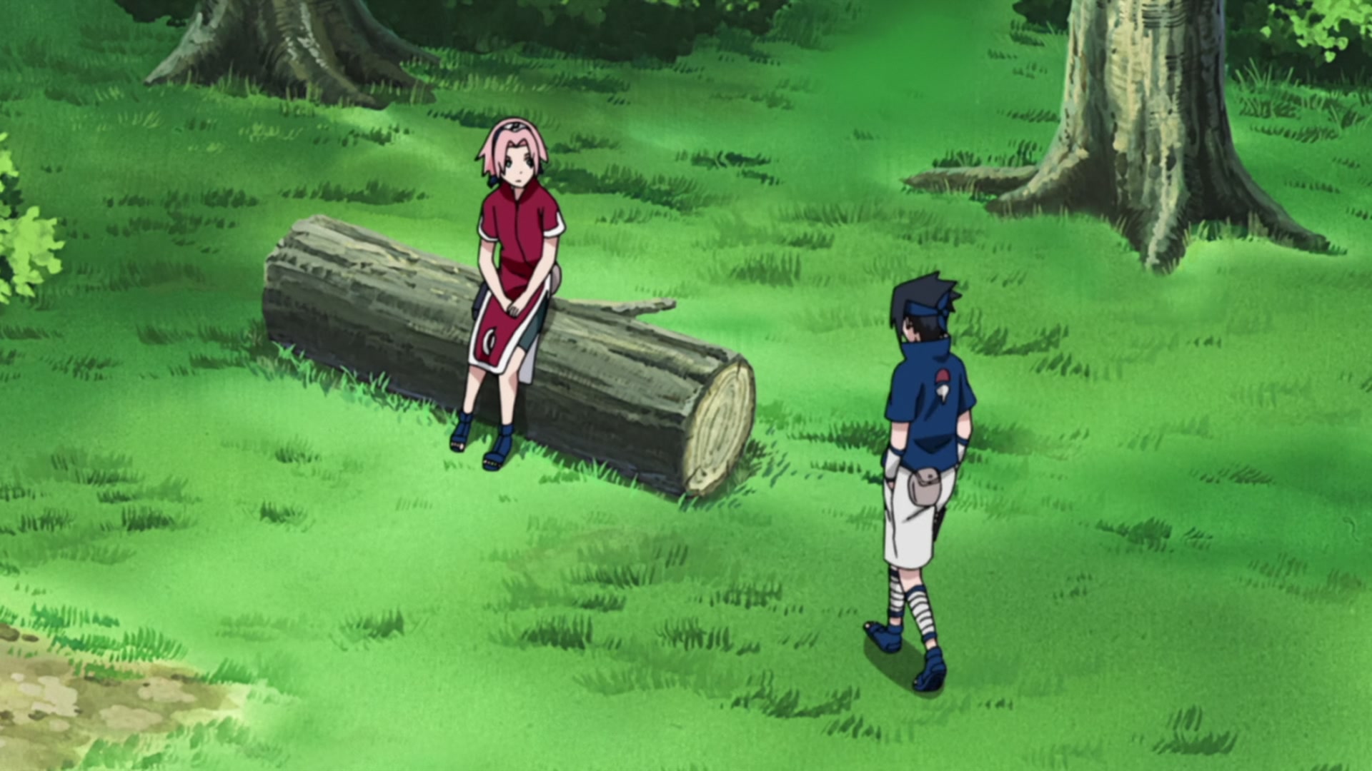 Naruto: Shippuden Ep 437: The Sealed Power @ 00:14:19