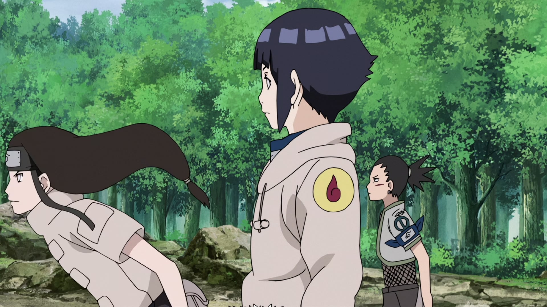 Naruto: Shippuden Ep 440: The Caged Bird @ 00:08:06